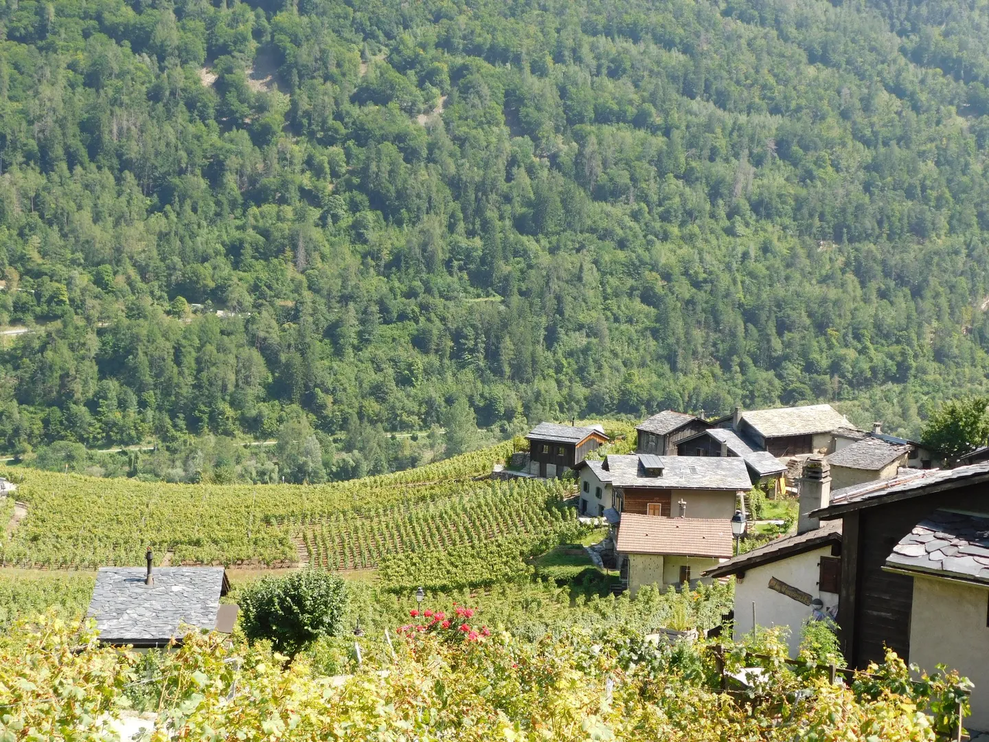 Mazot Incantevole con Vista Panoramica - Foto 7 di 13