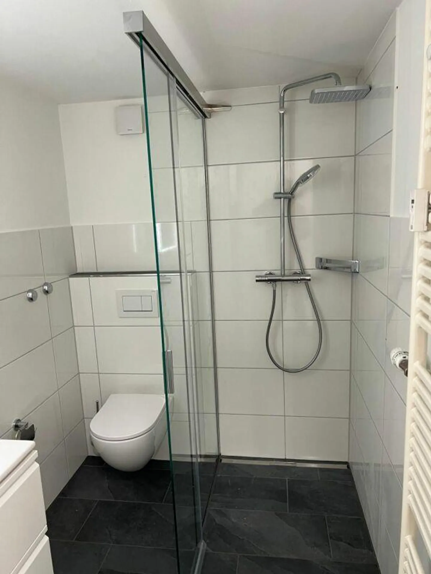 Studio soleggiato con vista diretta sul Reno - Foto 7 di 9