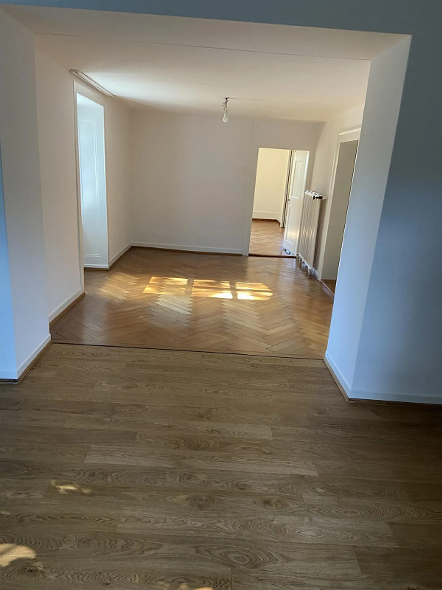 Appartement de 6,5 pièces de rêve dans une villa de campagne historique - Photo 5 sur 13