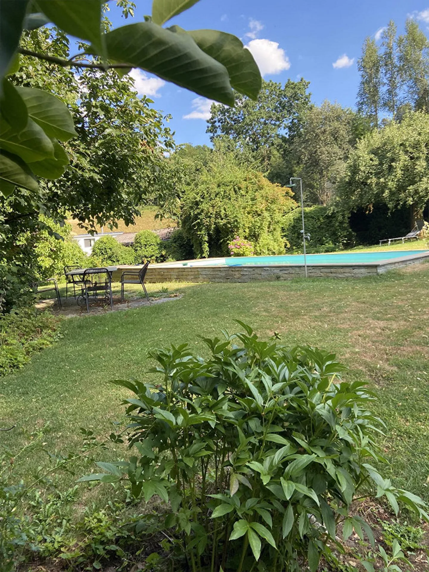 Appartement de 6,5 pièces de rêve dans une villa de campagne historique - Photo 11 sur 13