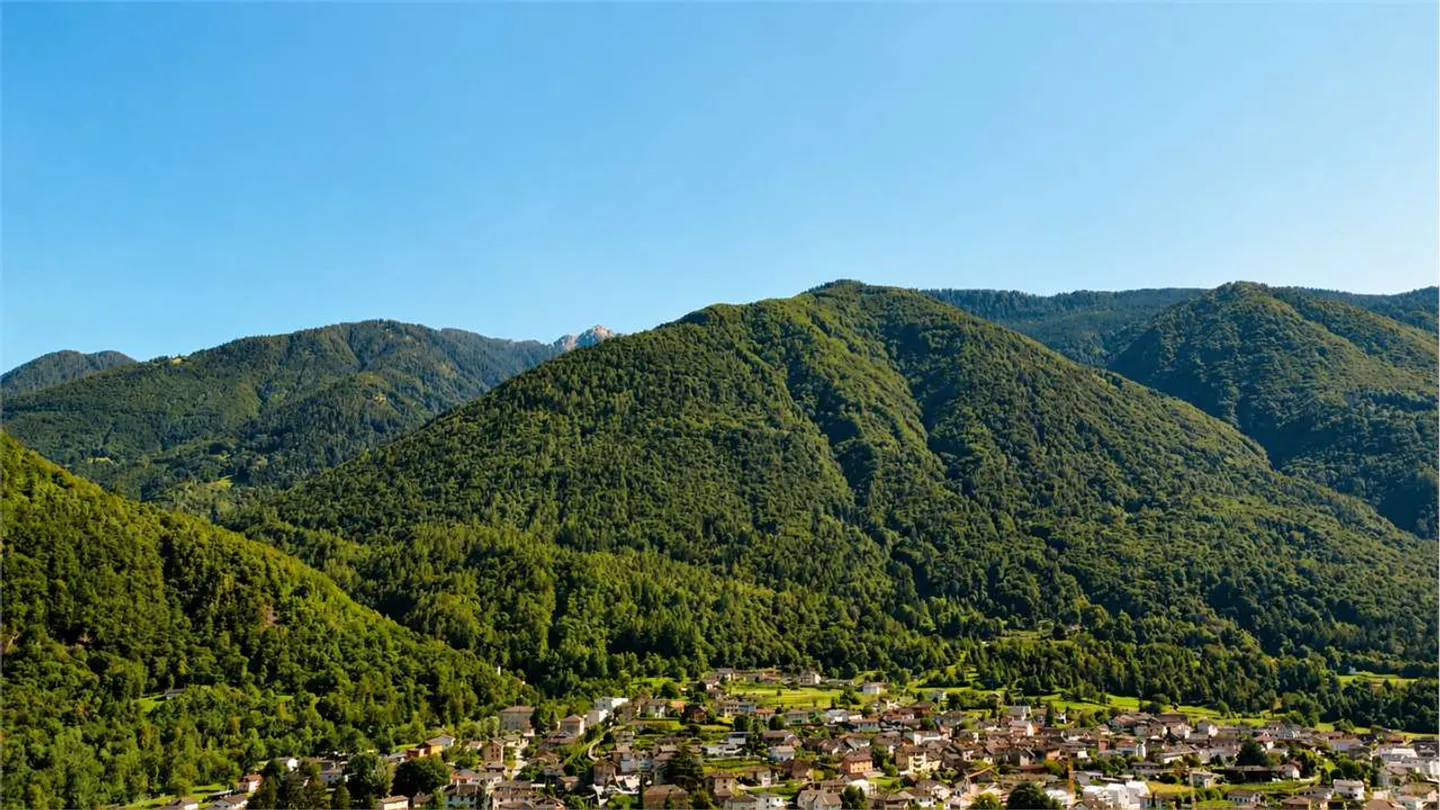 Roveredo (GR) - Appartamenti con giardino di prossima realizzazione - Photo 5 of 5