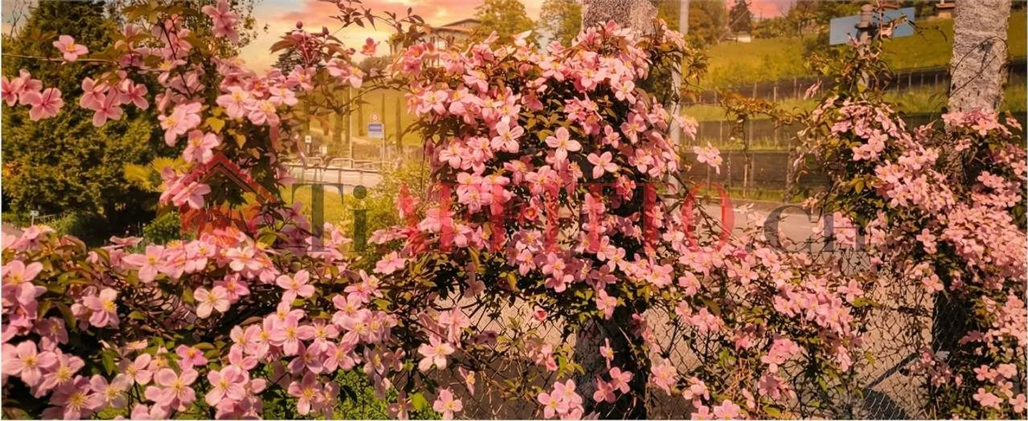 LUMINEUX APPARTEMENT DE 4,5 PIÈCES AVEC JARDIN À COLDRERIO - Photo 7 sur 9