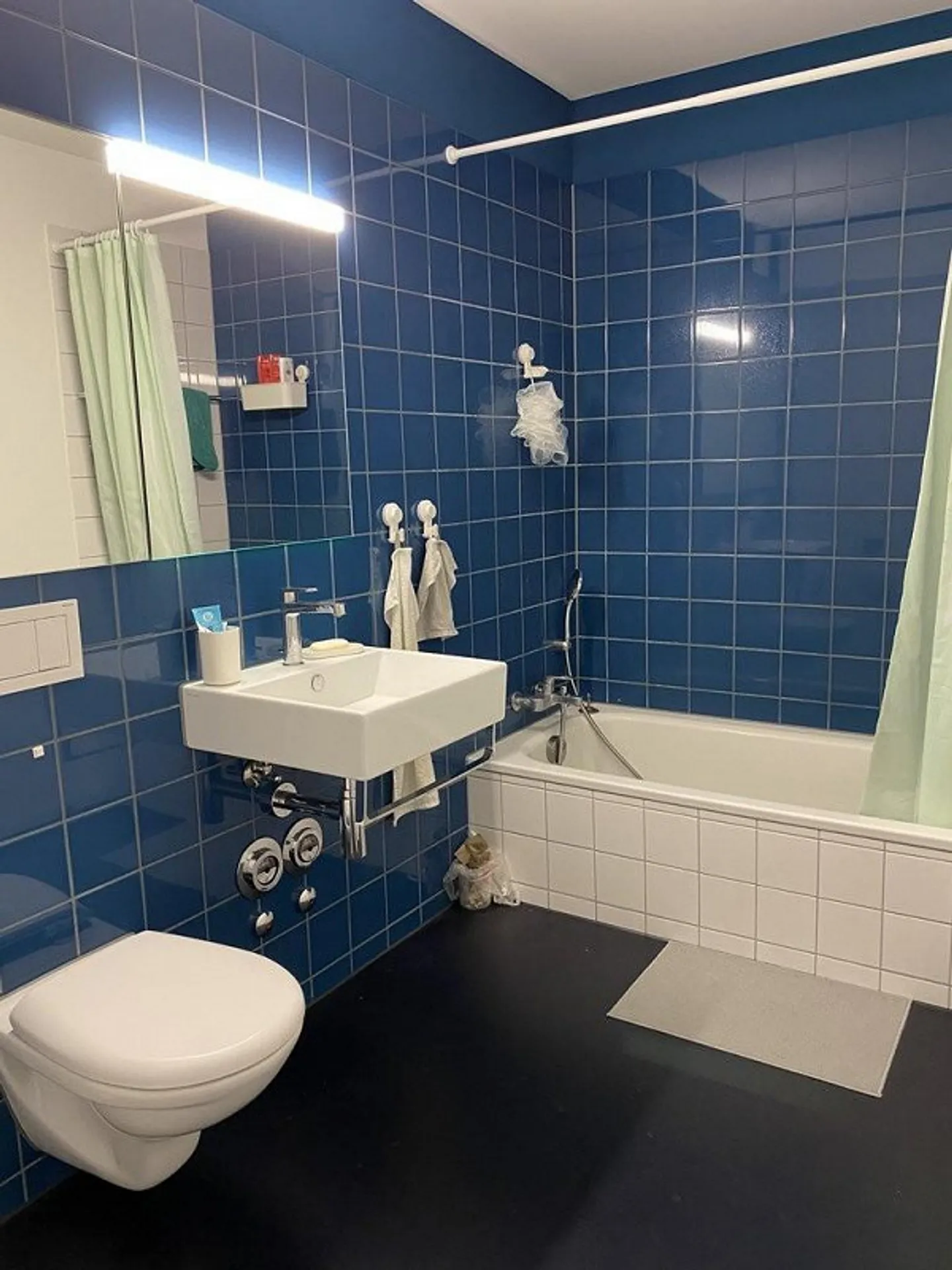 Dreamlike apartment for rent in Birmensdorf! - Photo 3 of 6