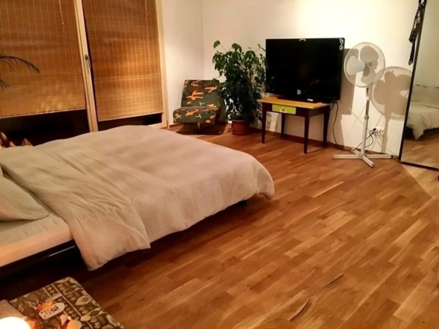 5 ROOM HOUSE IN OBERWIL (BL), FURNISHED - Photo 5 of 10