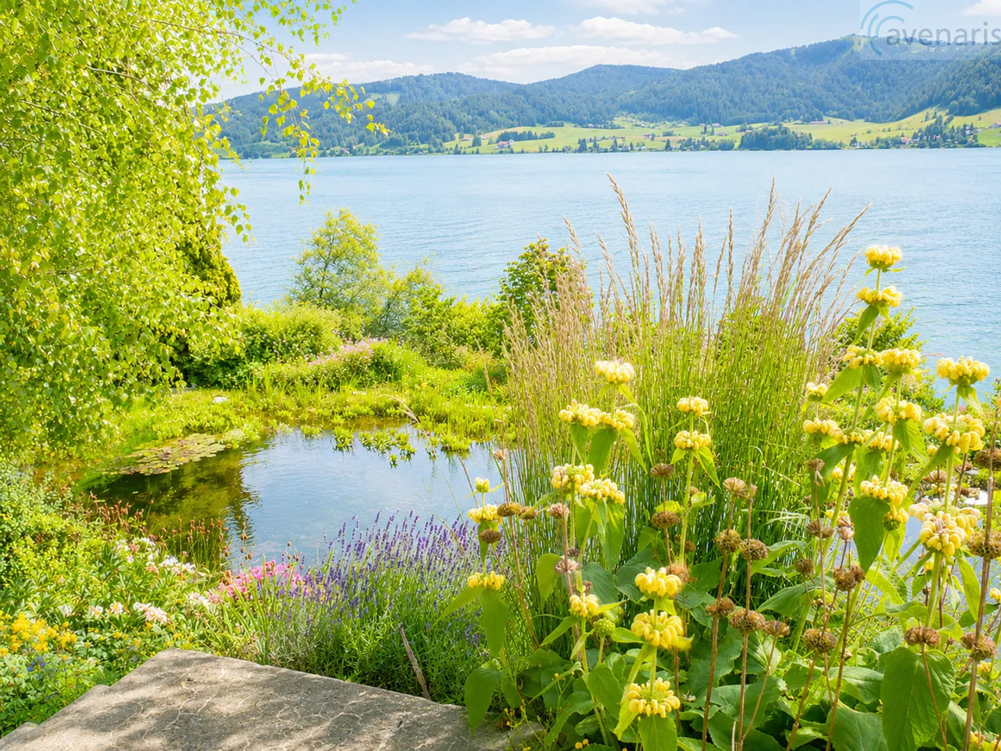 Votre maison de rêve avec vue panoramique sur le Sihlsee - Photo 1 sur 8