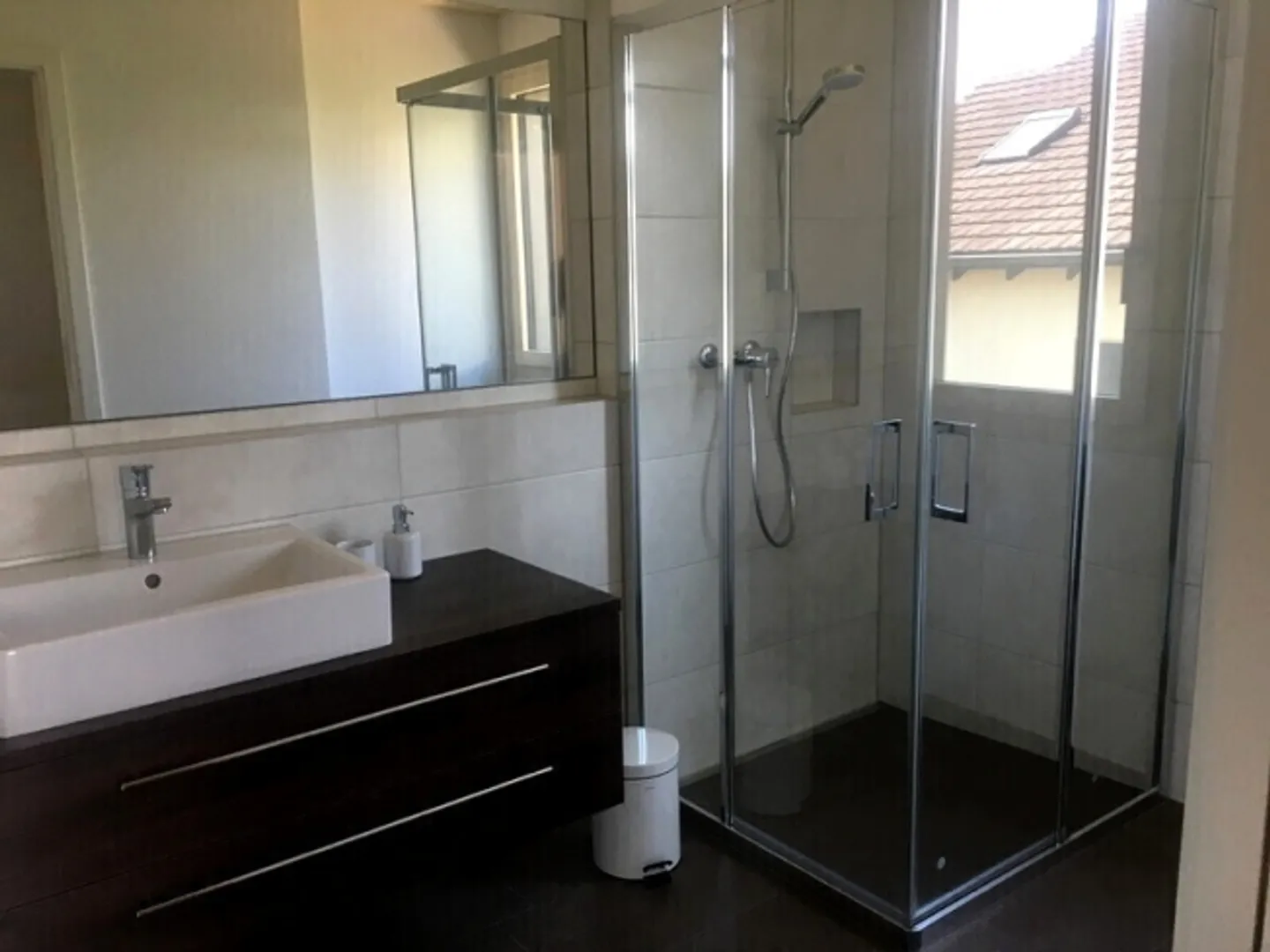 5 ROOM HOUSE IN OBERWIL (BL), FURNISHED - Photo 9 of 10