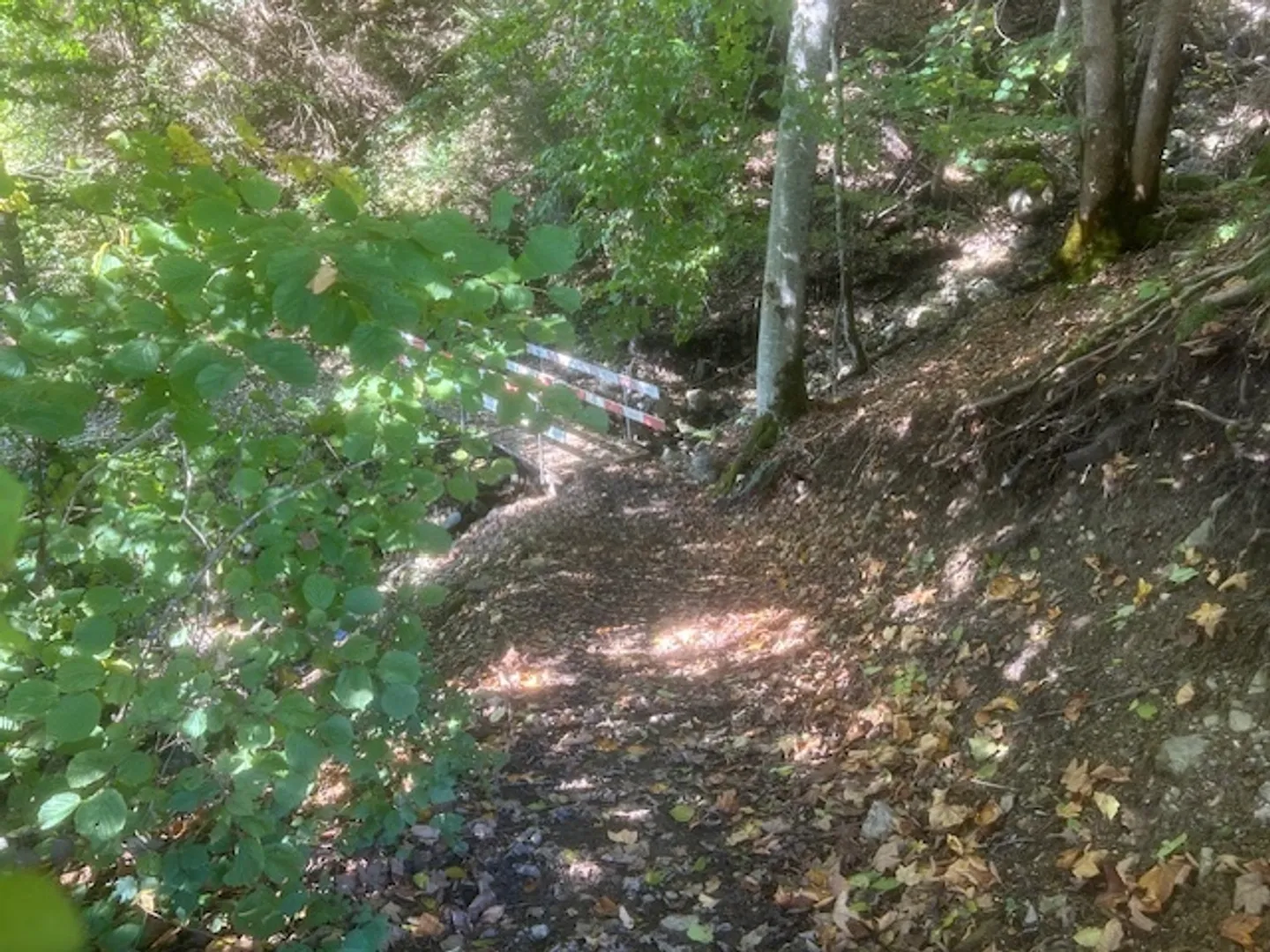 Endlich gibt es eines! Das wahre kleine Nest im Herzen der Natur! Also? - Foto 2 von 20