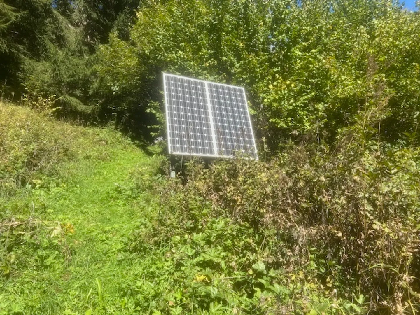 Endlich gibt es eines! Das wahre kleine Nest im Herzen der Natur! Also? - Foto 19 von 20