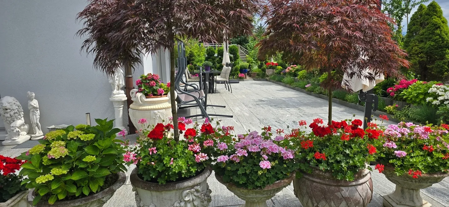 Incantevole casa unifamiliare con ampia terrazza e giardino a Geuensee - Foto 9 di 13