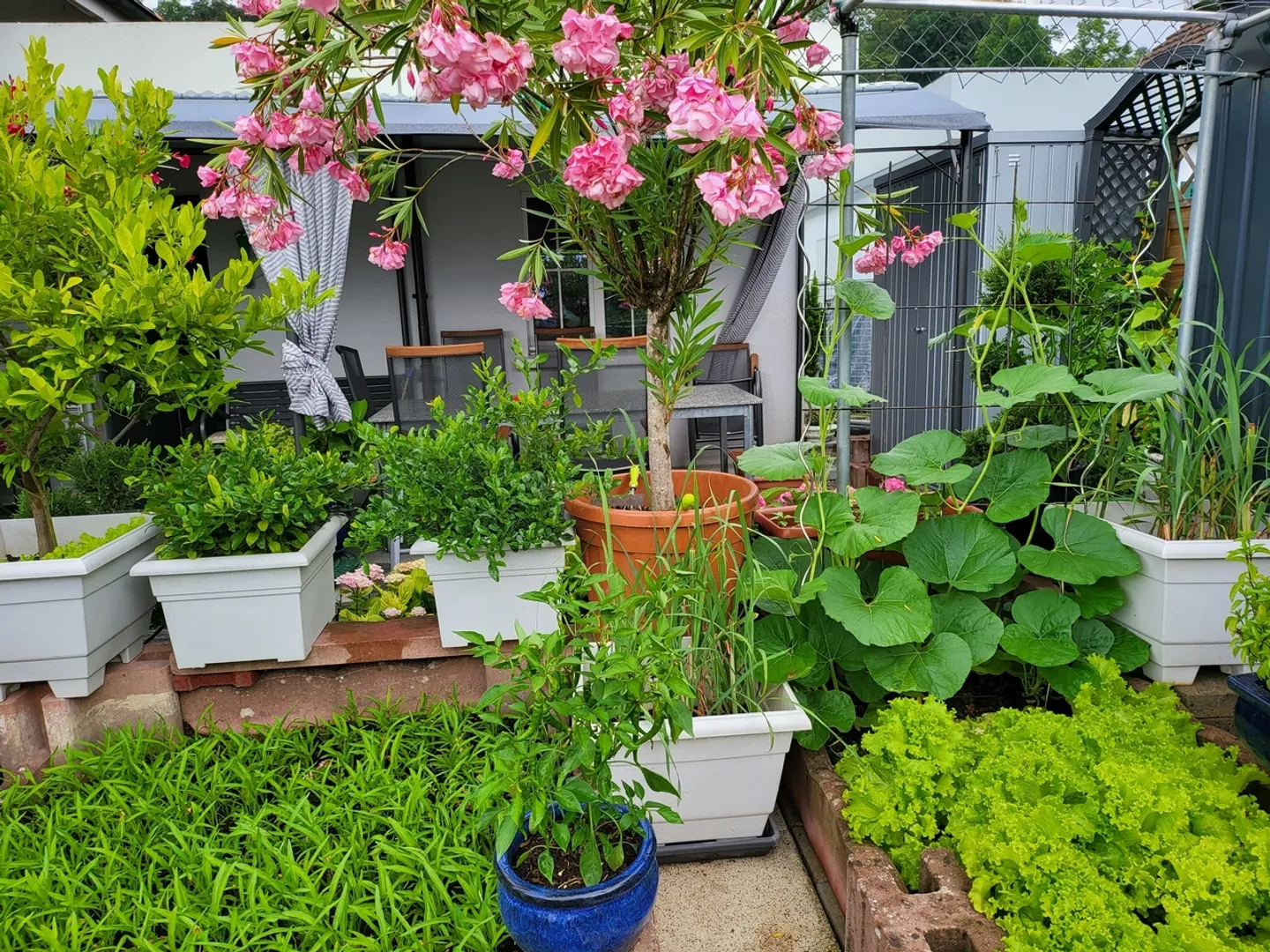 Incantevole casa unifamiliare con ampia terrazza e giardino a Geuensee - Foto 11 di 13