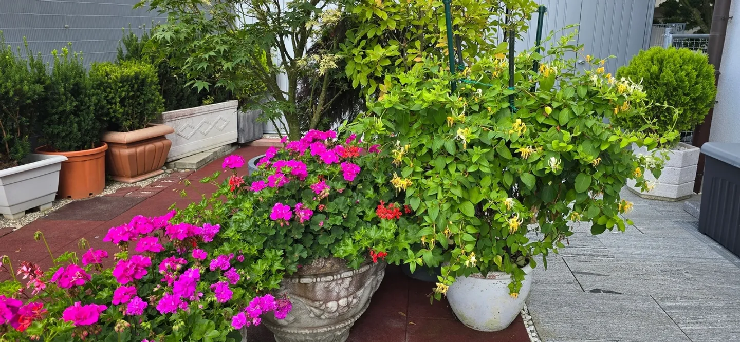 Incantevole casa unifamiliare con ampia terrazza e giardino a Geuensee - Foto 12 di 13