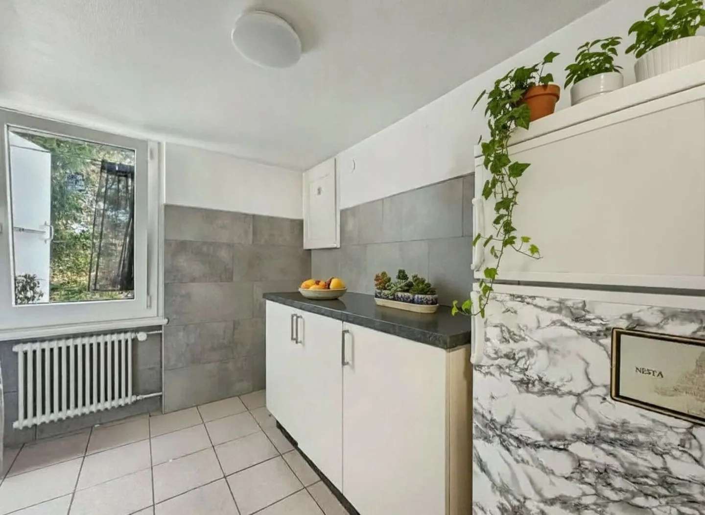 MIETSHAUS MIT 5 WOHNUNGEN UND UNABHÄNGIGEM ANBAU - Foto 12 von 29