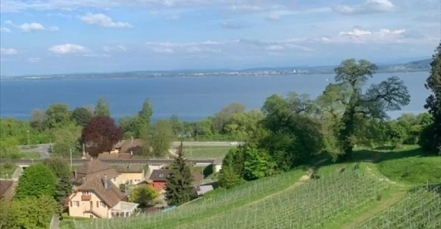 «Bureau 1 pièce» - Photo 4 sur 4