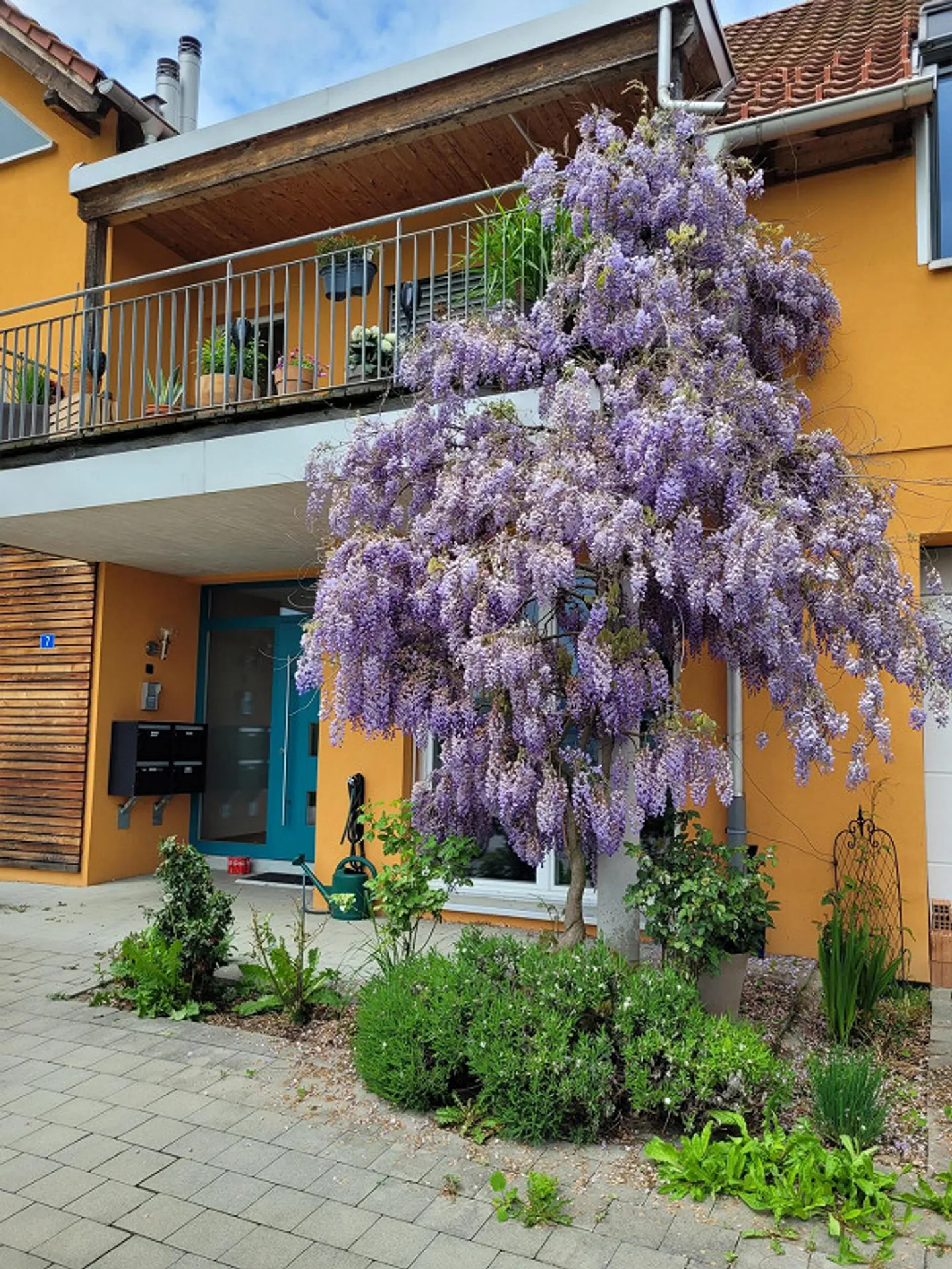 appartamento - Foto 18 di 18