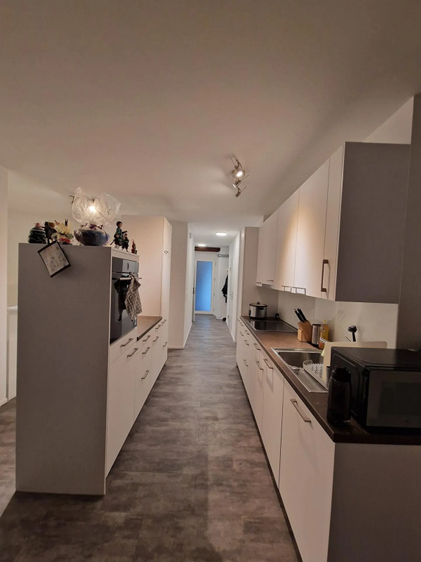 2 1/2 Room Apartment - Photo 4 of 12