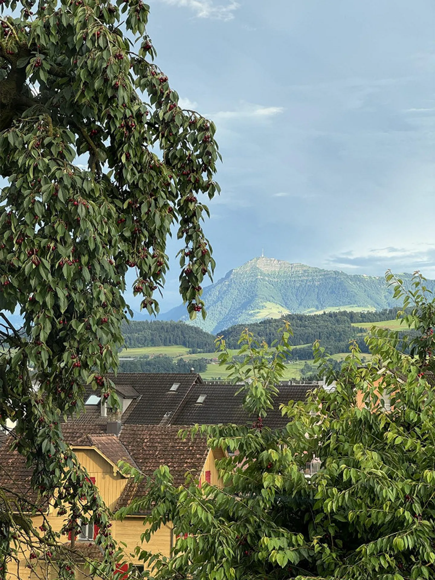 Charmante appartement de 3,5 pièces avec vue sur le Rigi et grand jardin à Ober - Photo 9 sur 20