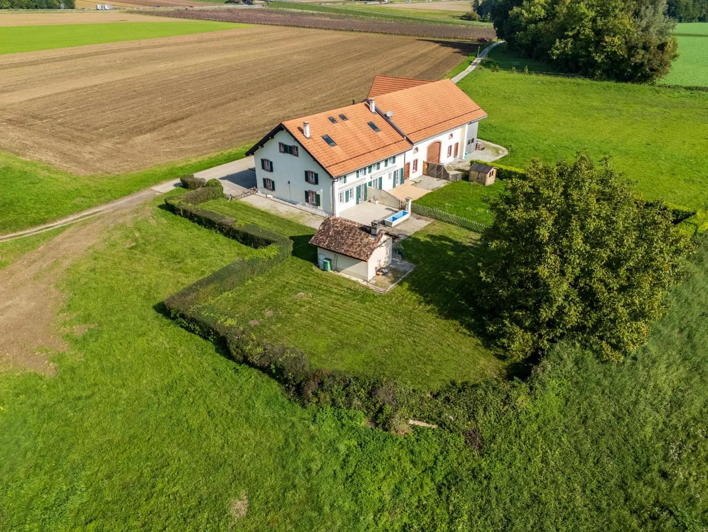 Reihenhaus 5.5 Zimmer - Foto 6 von 10