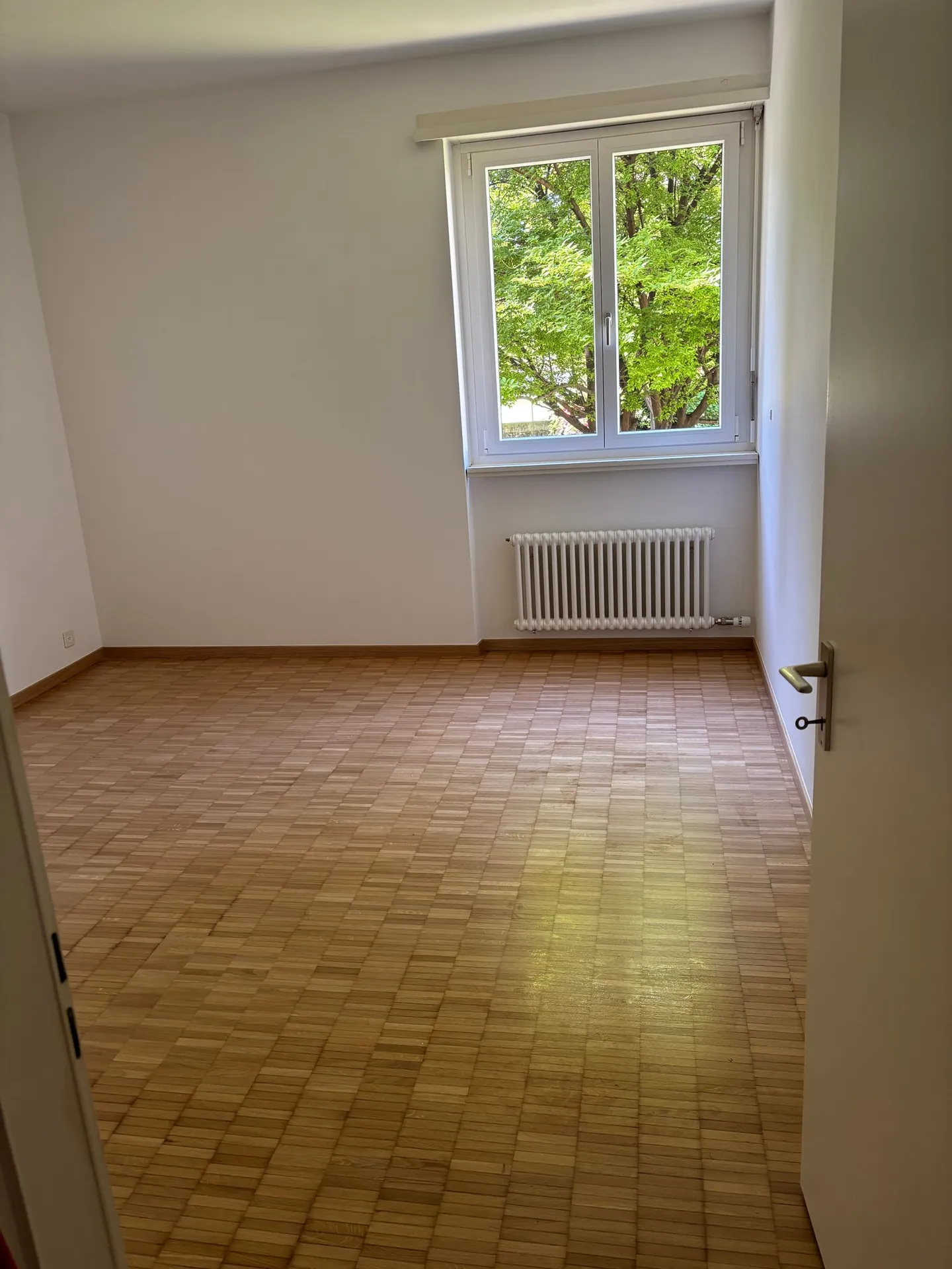 We rent a beautiful 3.5-room apartment in Bellinzona - Photo 1 of 8