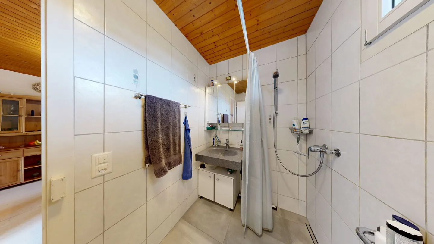 4.0 Room Apartment with View of the Schützenmatte - Photo 9 of 9