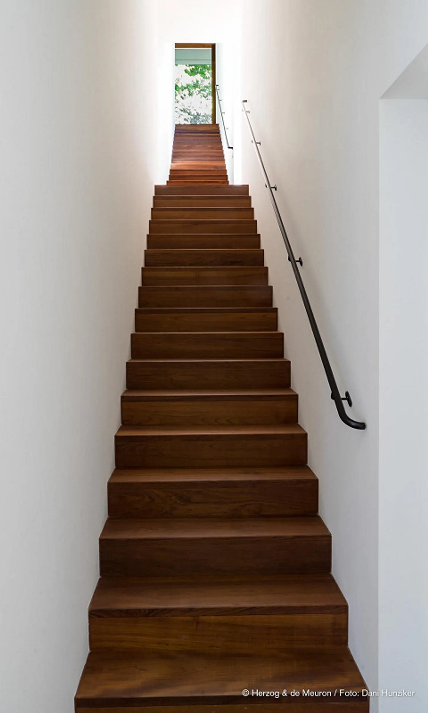 Villa 7, Archi di Luce - Herzog & de Meuron - Photo 1 sur 17