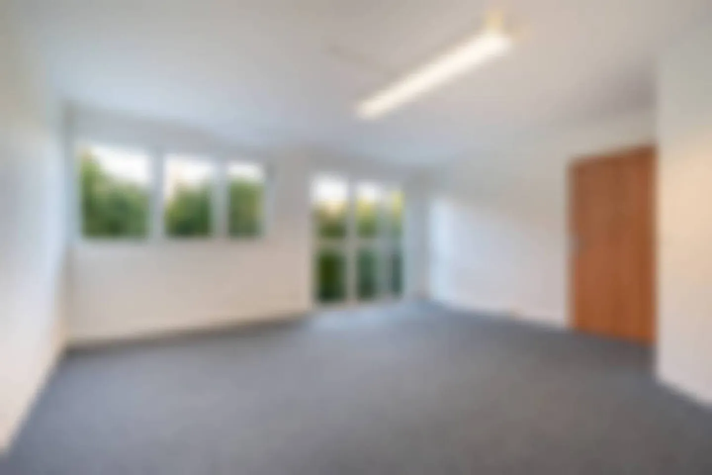 Geräumige Verkaufsfläche in Mont-sur-Lausanne von 115 m2 - Foto 5 von 7