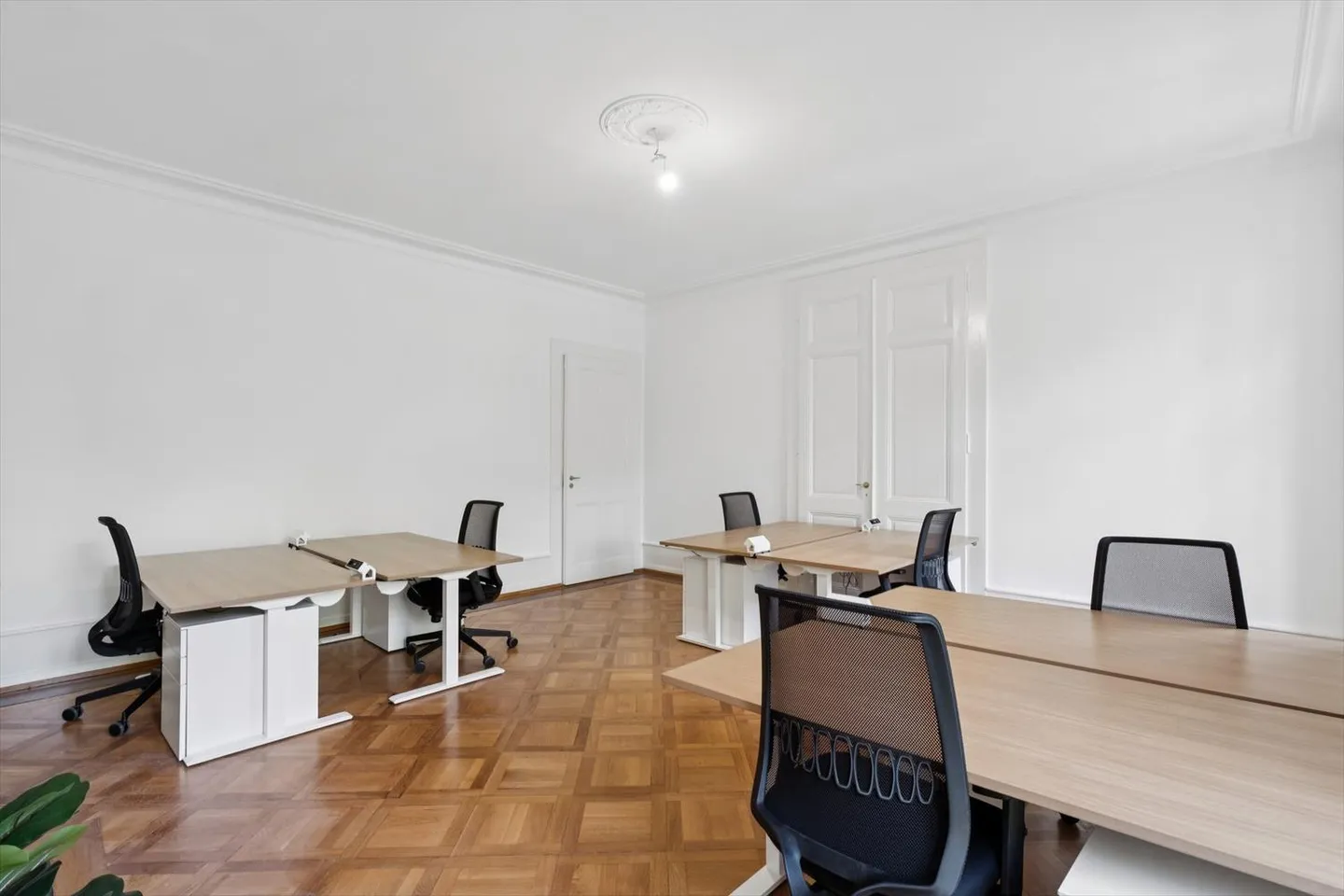 Bureau lumineux de 30 m² – Rue de Candolle, vue sur le Parc Bertrand - Photo 1 sur 7