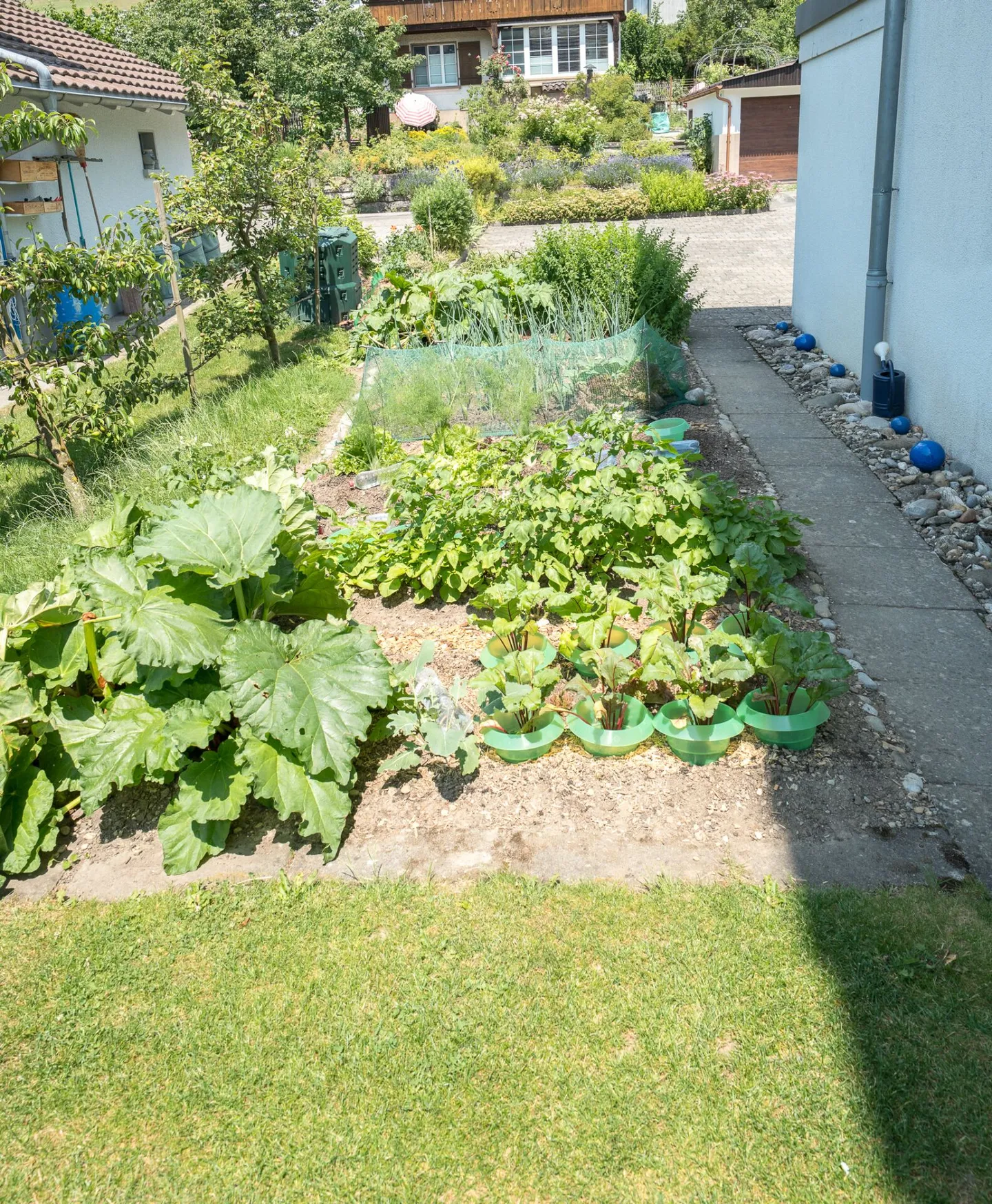 Grosszügige Parterrewohnung - Foto 4 von 18
