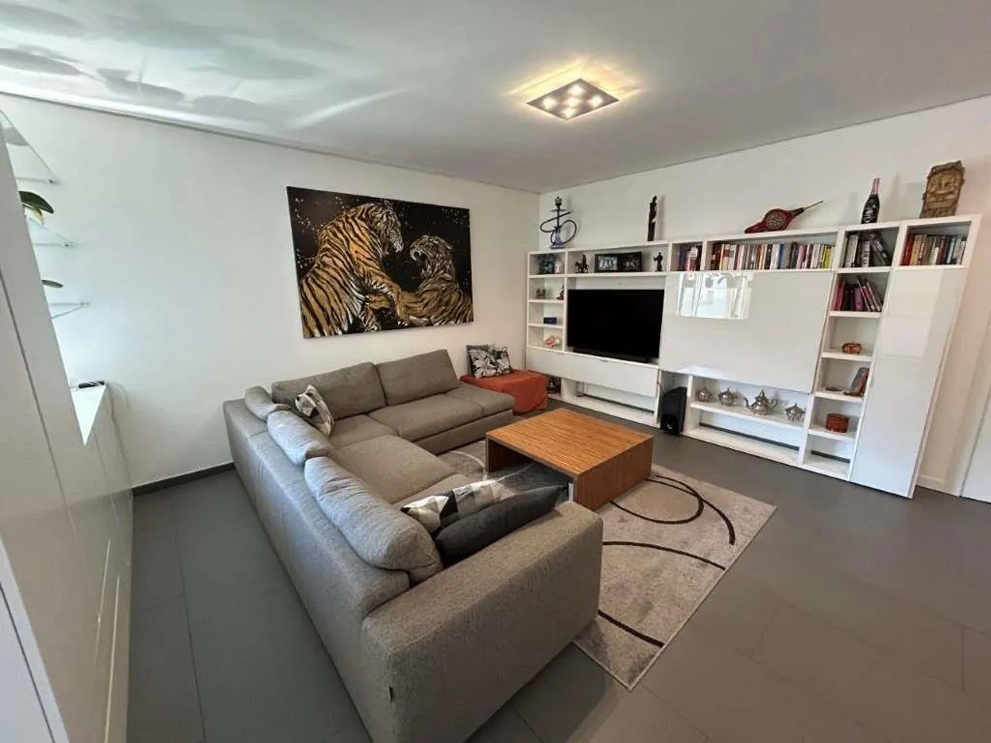 LUGANO: MODERN 4.5 ROOM APARTMENT WITH LARGE TERRACE - Photo 5 of 12