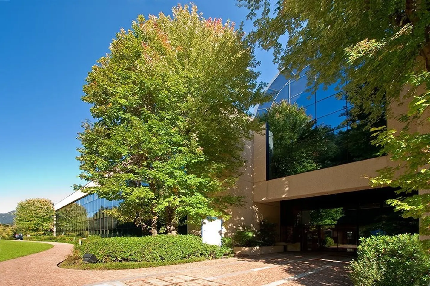 LUGANO NORTH - OFFICE RENTALS FURNISHED FROM 17 TO 60 SQM IN A STRATEGIC AREA - Photo 10 of 17