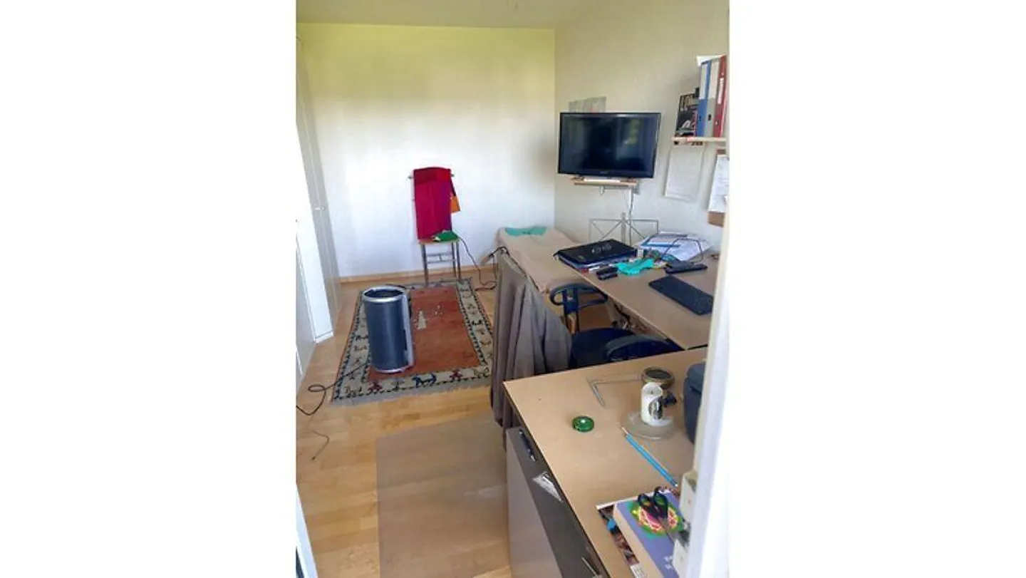 APPARTAMENTO DUPLEX DI 4½ LOCALI A THALWIL (ZH), ARREDATO, TEMPORANEO - Foto 5 di 12