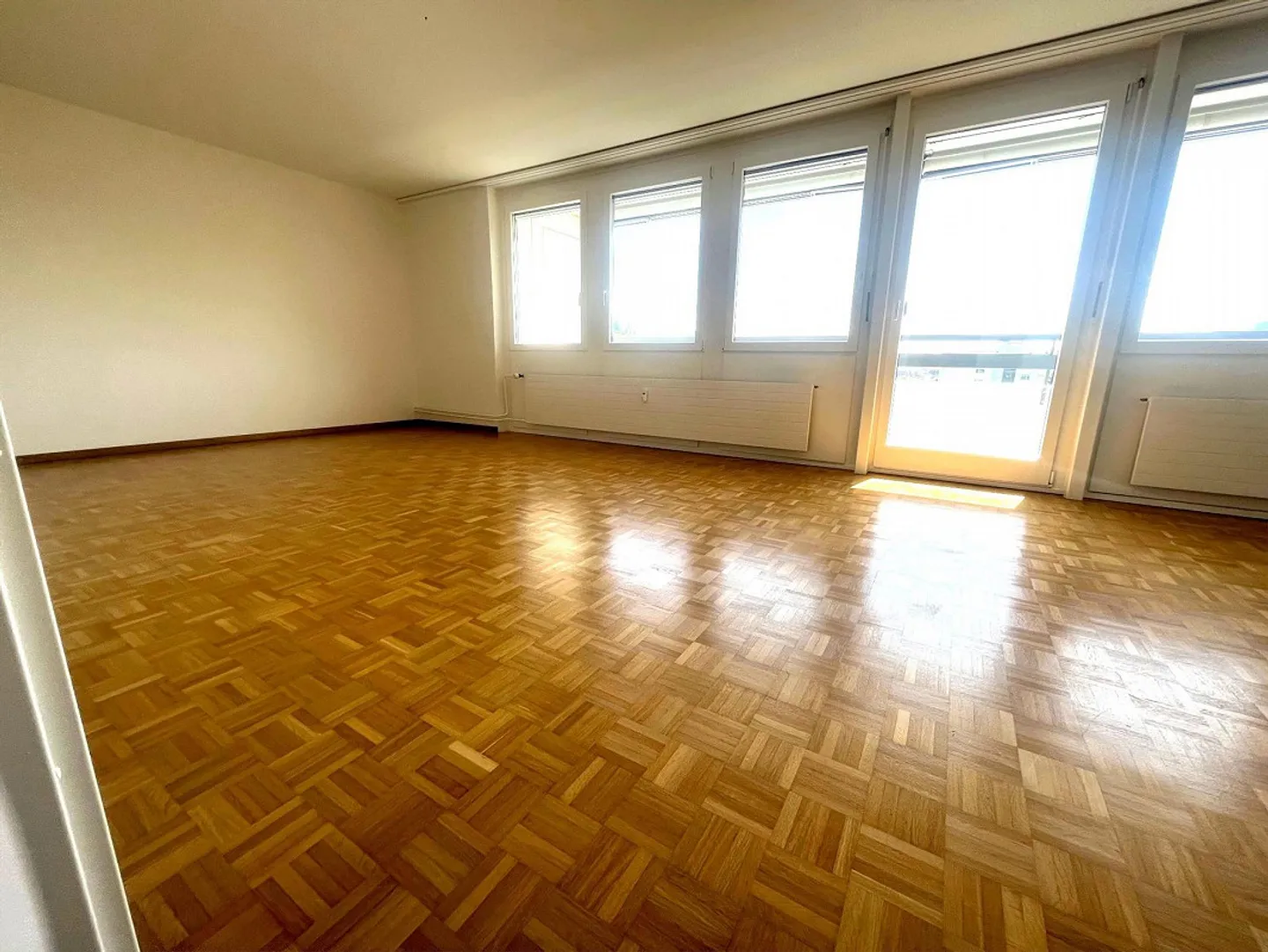 Appartement spacieux avec beau balcon sud - Photo 3 sur 12