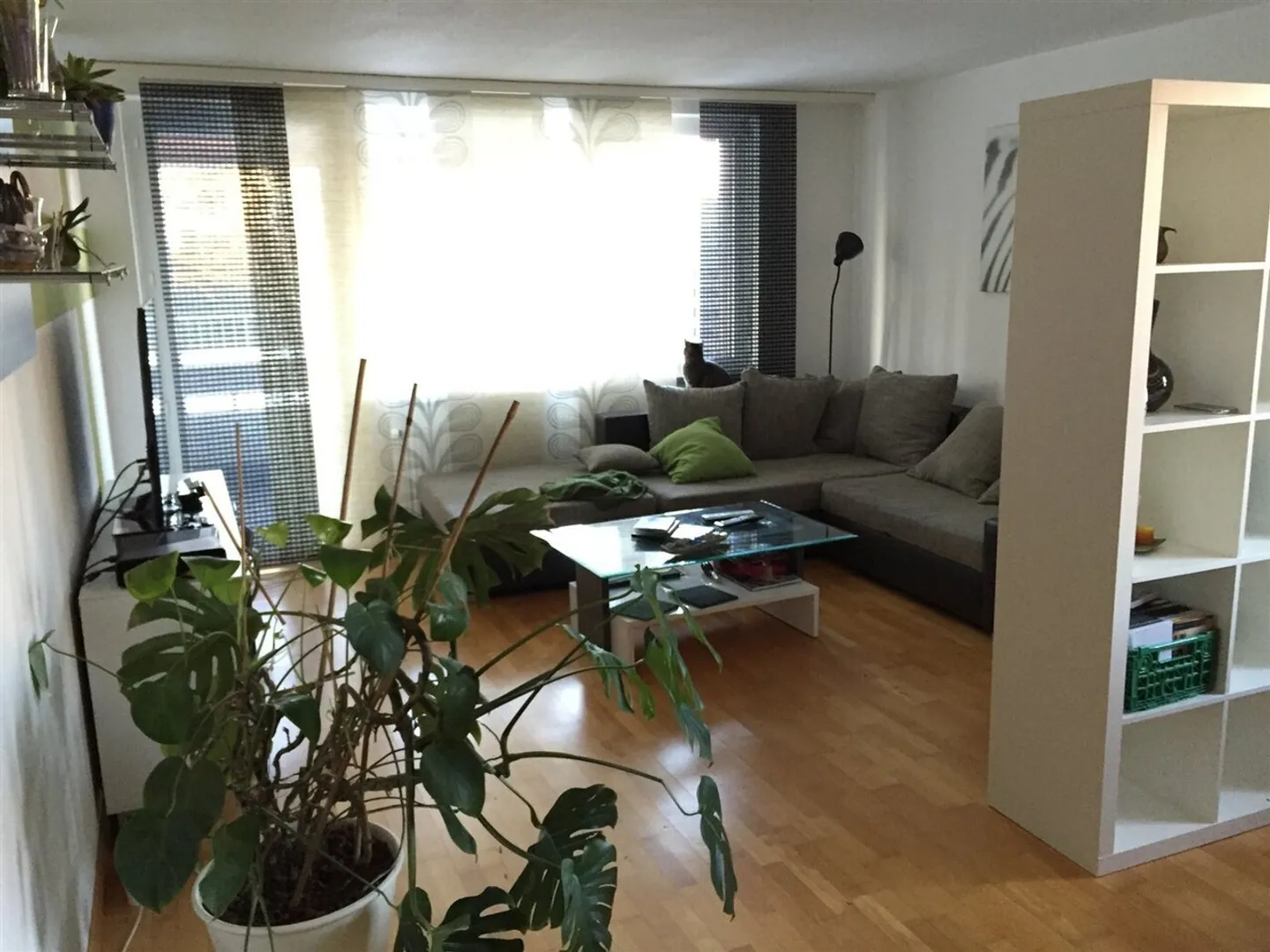 Bell'appartamento con grande balcone - Foto 1 di 5