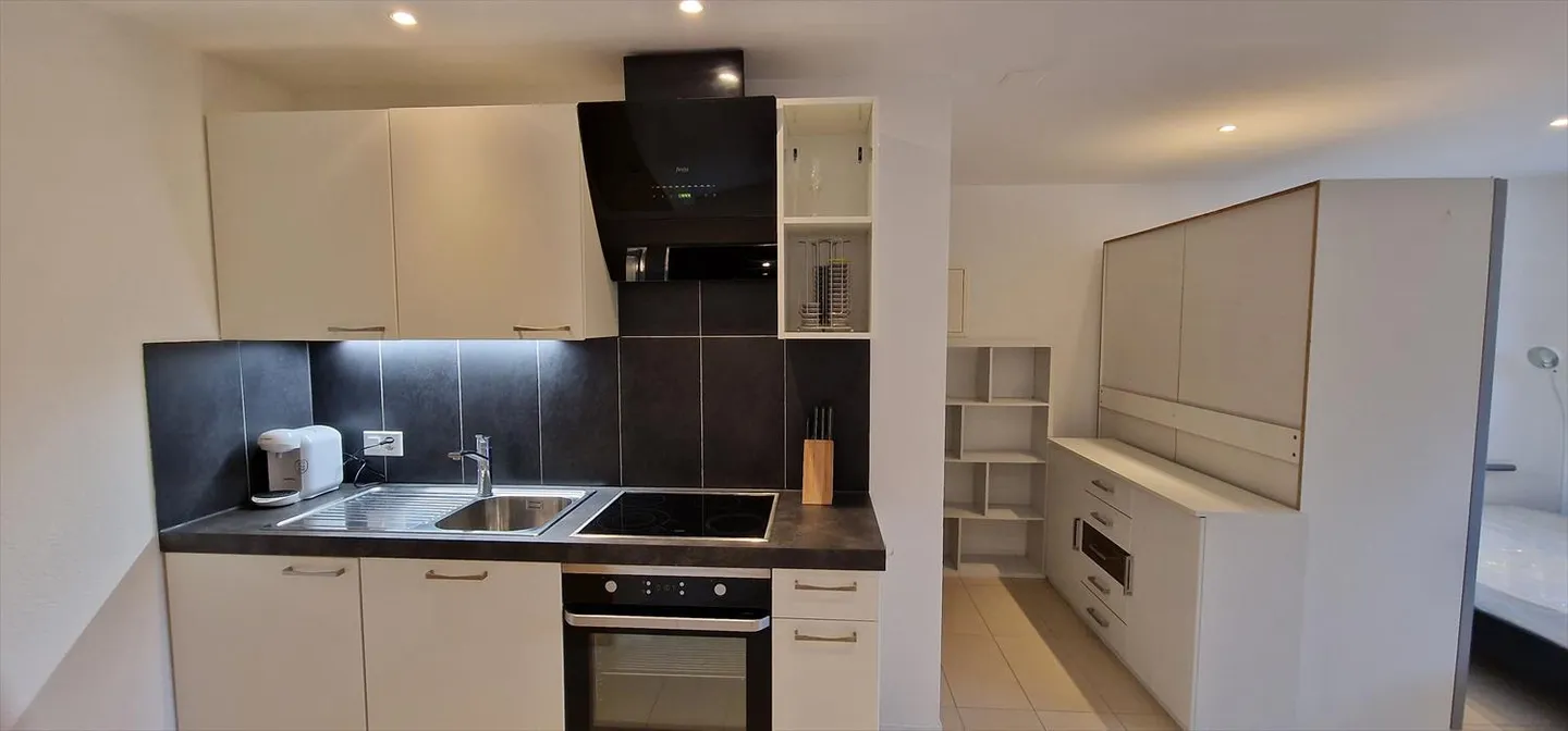 Studio 1.5 pièces - Photo 3 sur 5