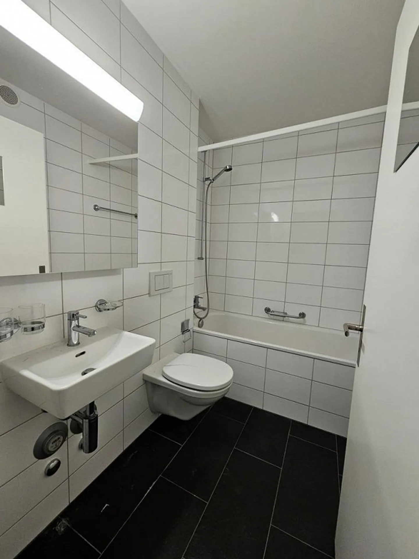 Appartement 2 pièces avec vue sur Reinach - Photo 4 sur 11