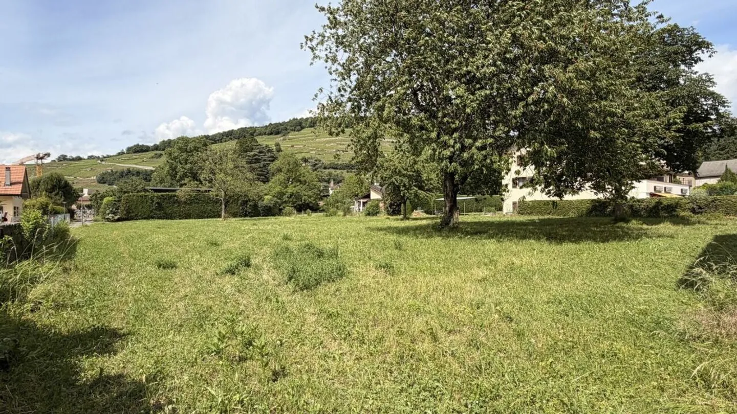 Grundstück mit Projekt zu verkaufen in Bex - Foto 2 von 11
