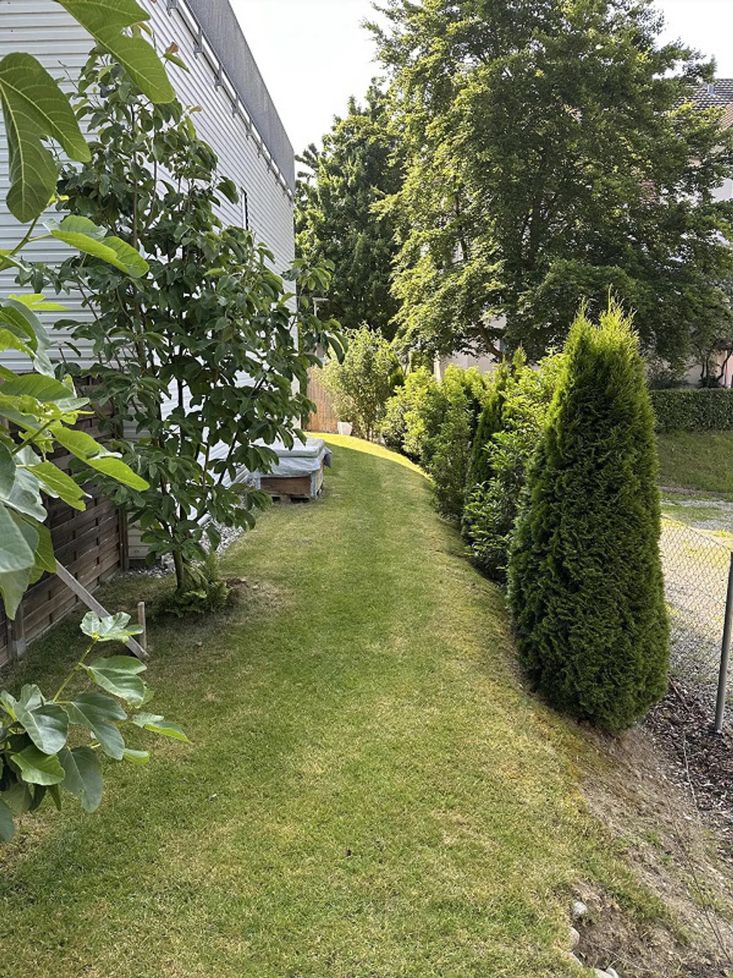 4,5 stanze, studio, terrazza sul tetto e un giardino direttamente al confine della foresta - Foto 10 di 10