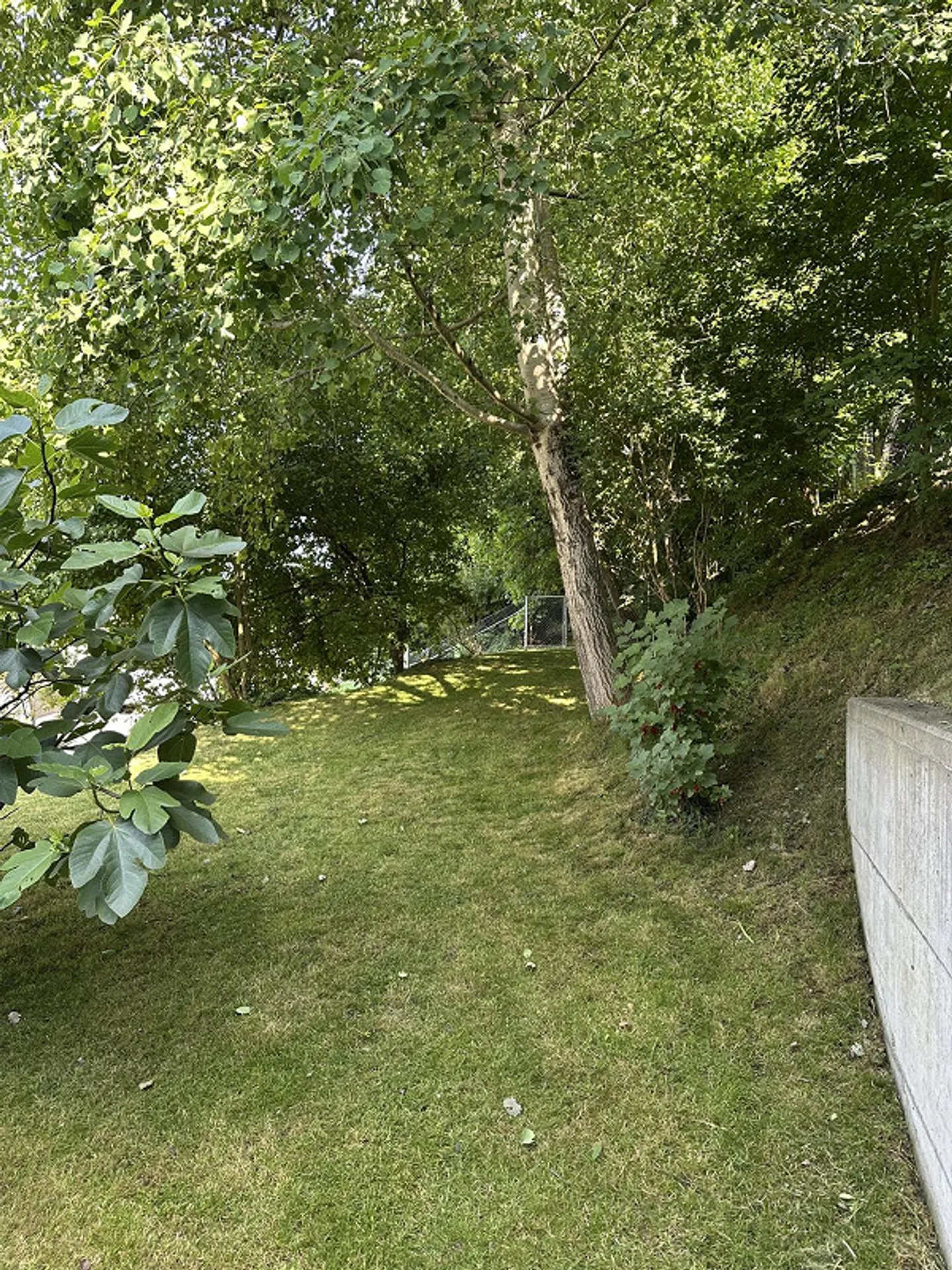 4,5 stanze, studio, terrazza sul tetto e un giardino direttamente al confine della foresta - Foto 8 di 10