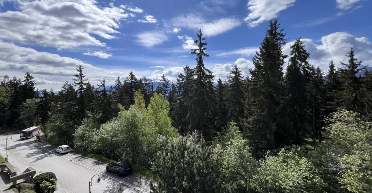 Crans-Forest B, 3,5 Zimmer, 2. Etage - Foto 9 von 11