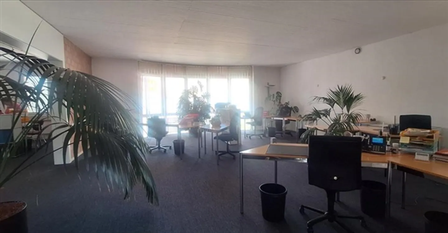 Büro 3 Zimmer - Foto 4 von 8