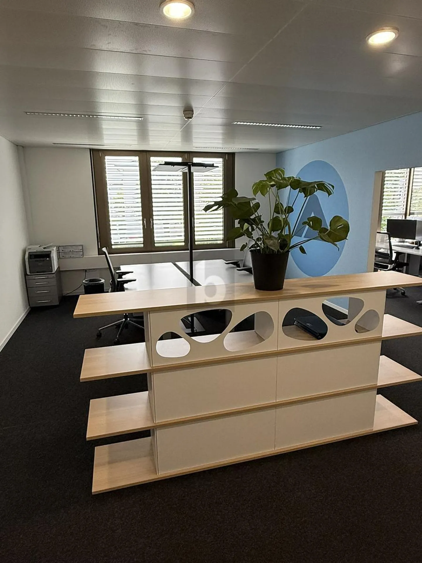 RUHIG, ZENTRAL MIT VIEL PLATZ - Foto 1 von 6