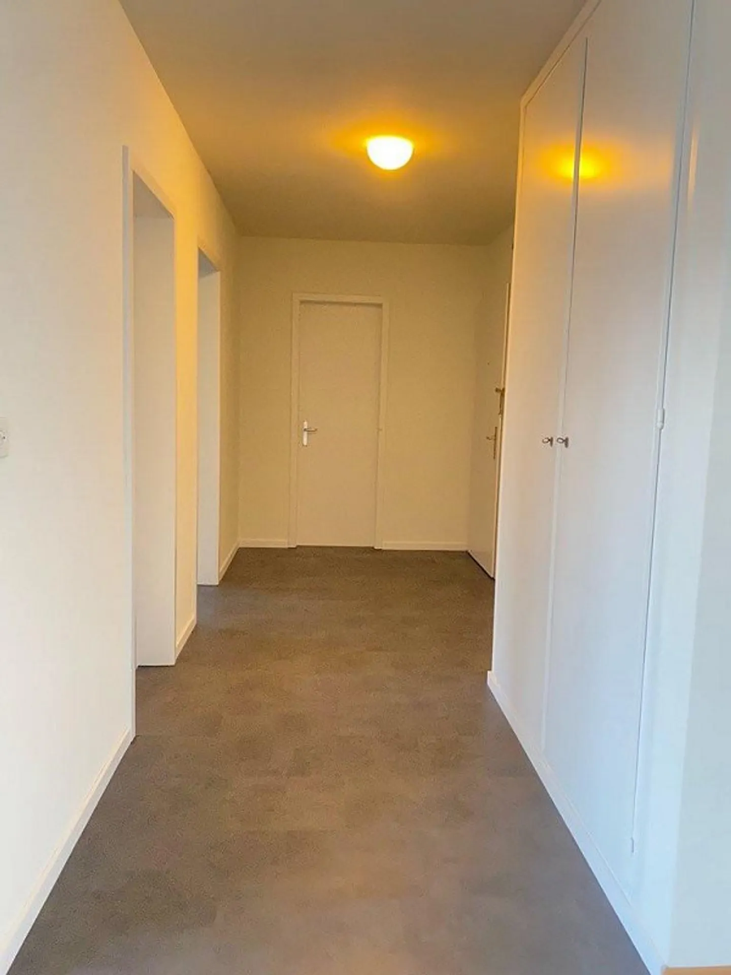 Central living on Libellenweg: Cozy 2-room apartment in Lyss - Photo 7 of 8