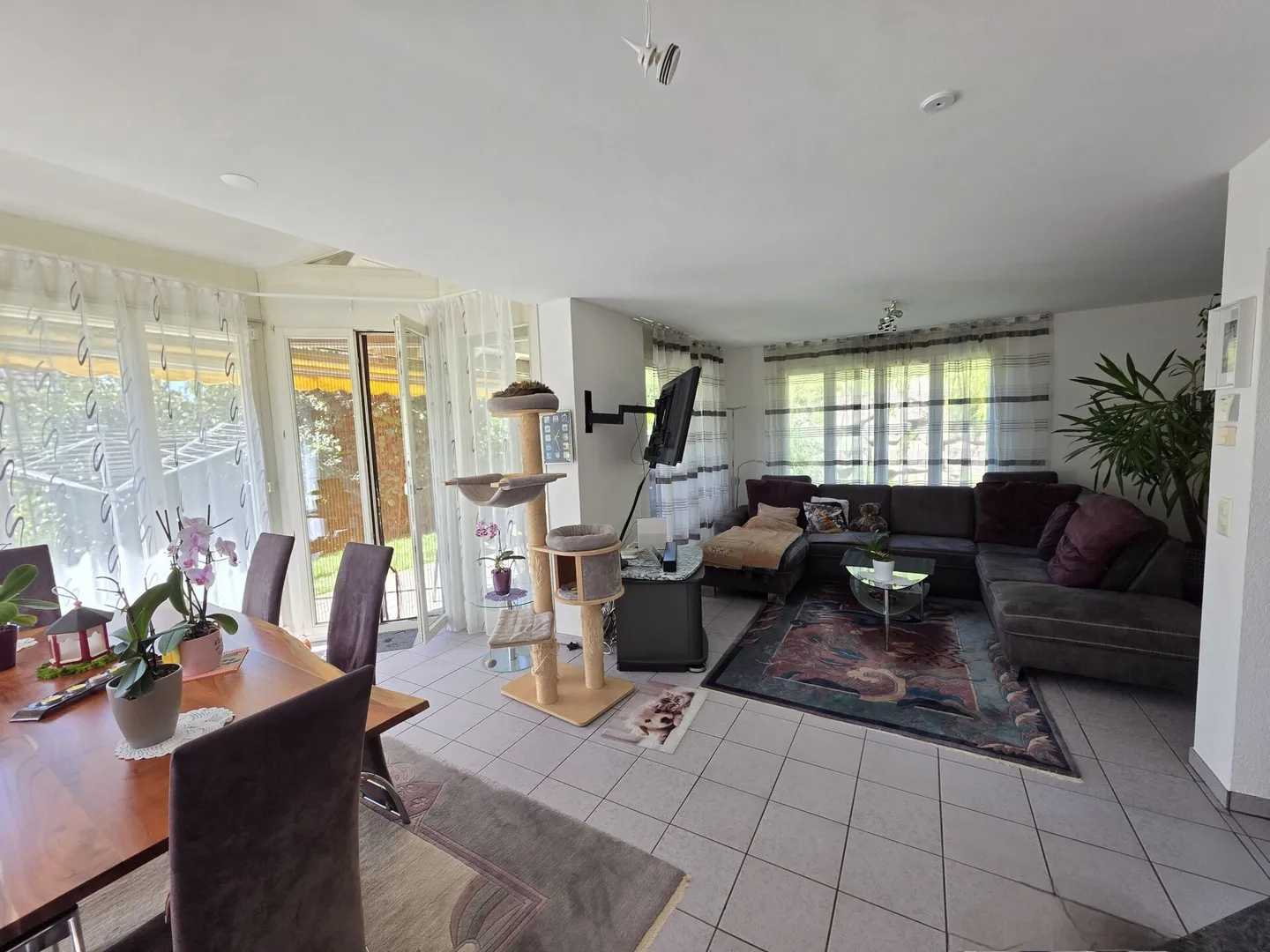 Casa unifamiliare adatta alle famiglie con 5,5 stanze e grande giardino a Gränichen - Foto 5 di 17