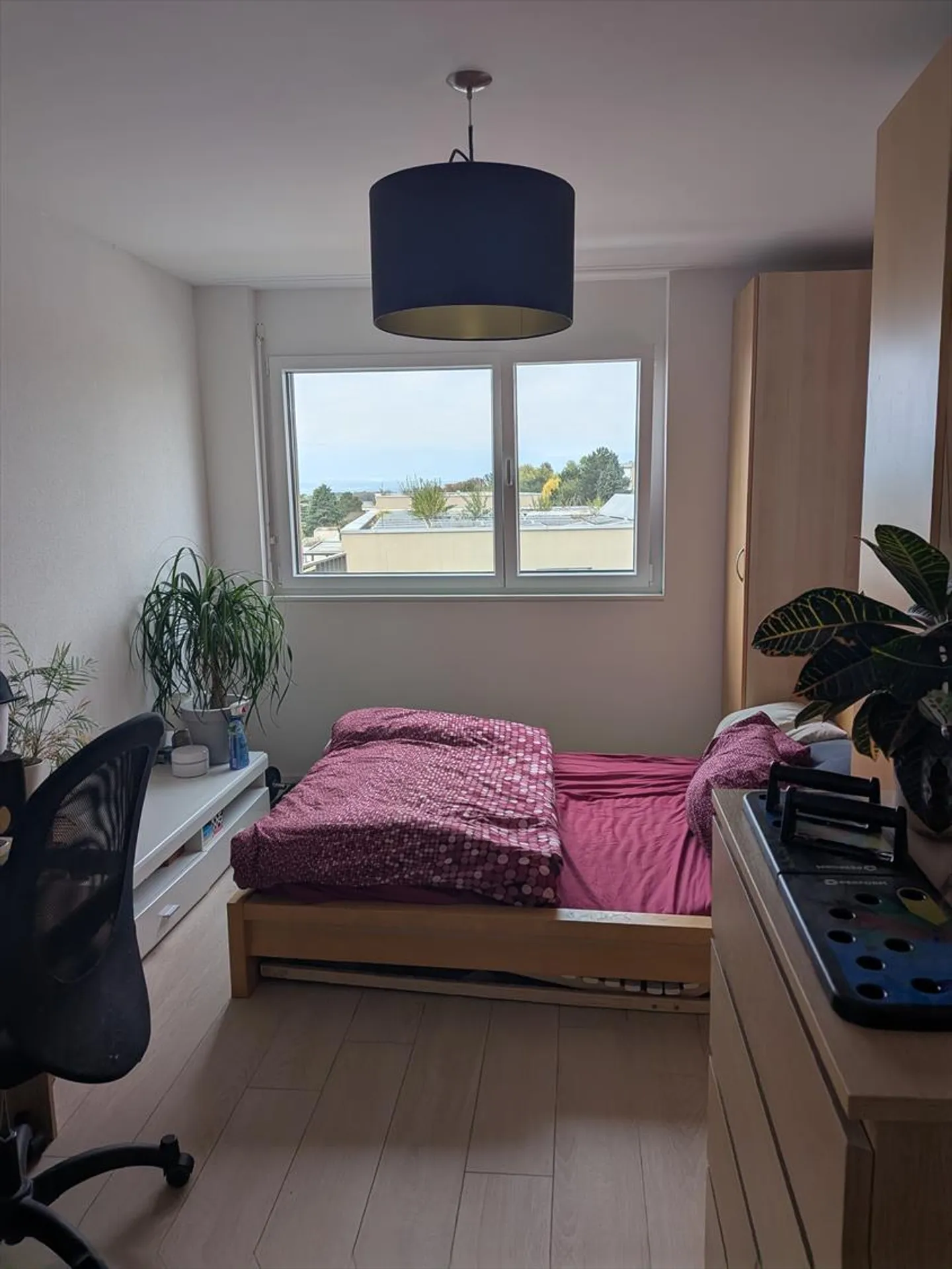Attico 3.5 stanze - Foto 4 di 11