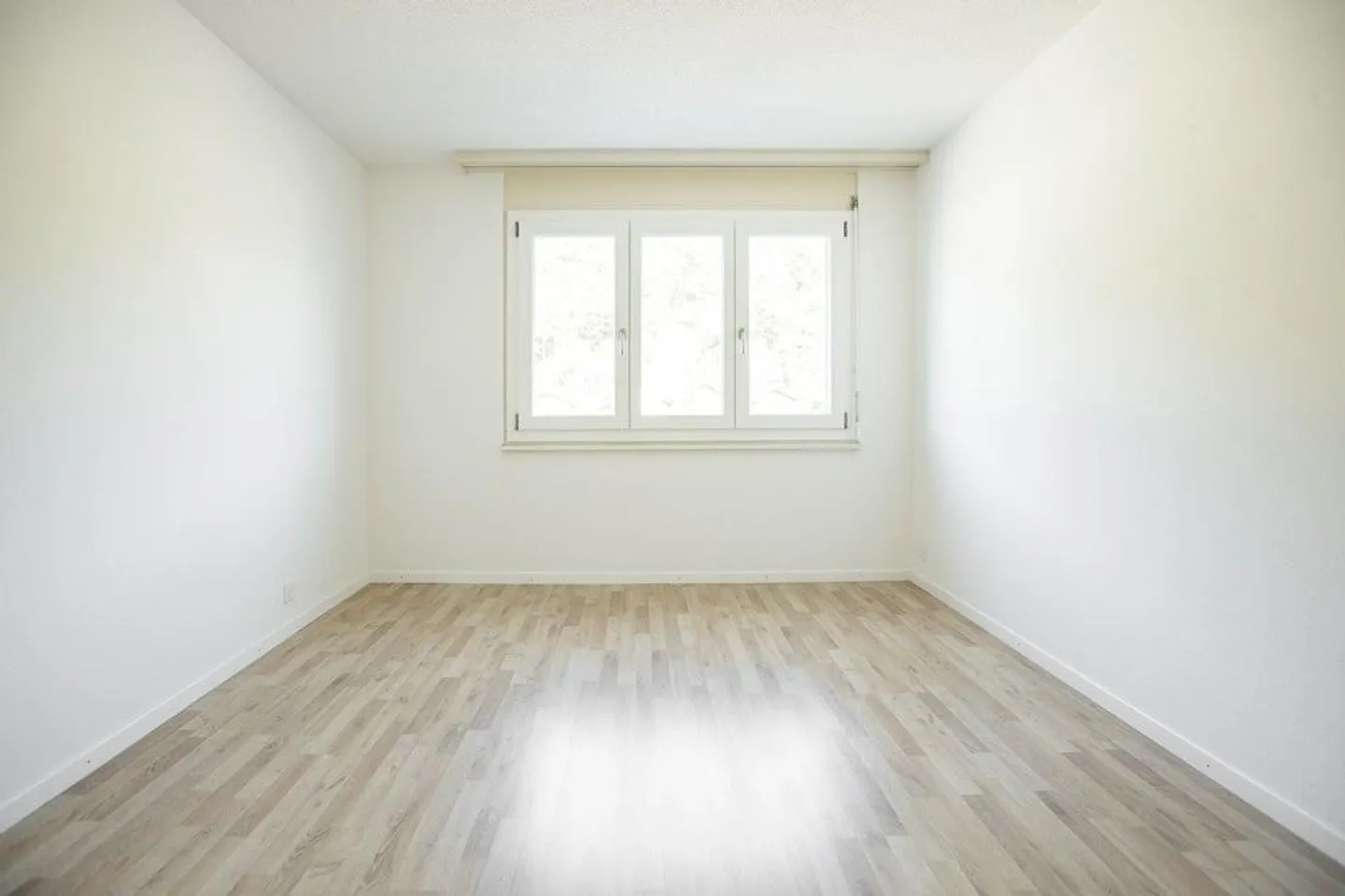 Mein neues Zuhause! - Foto 3 von 5