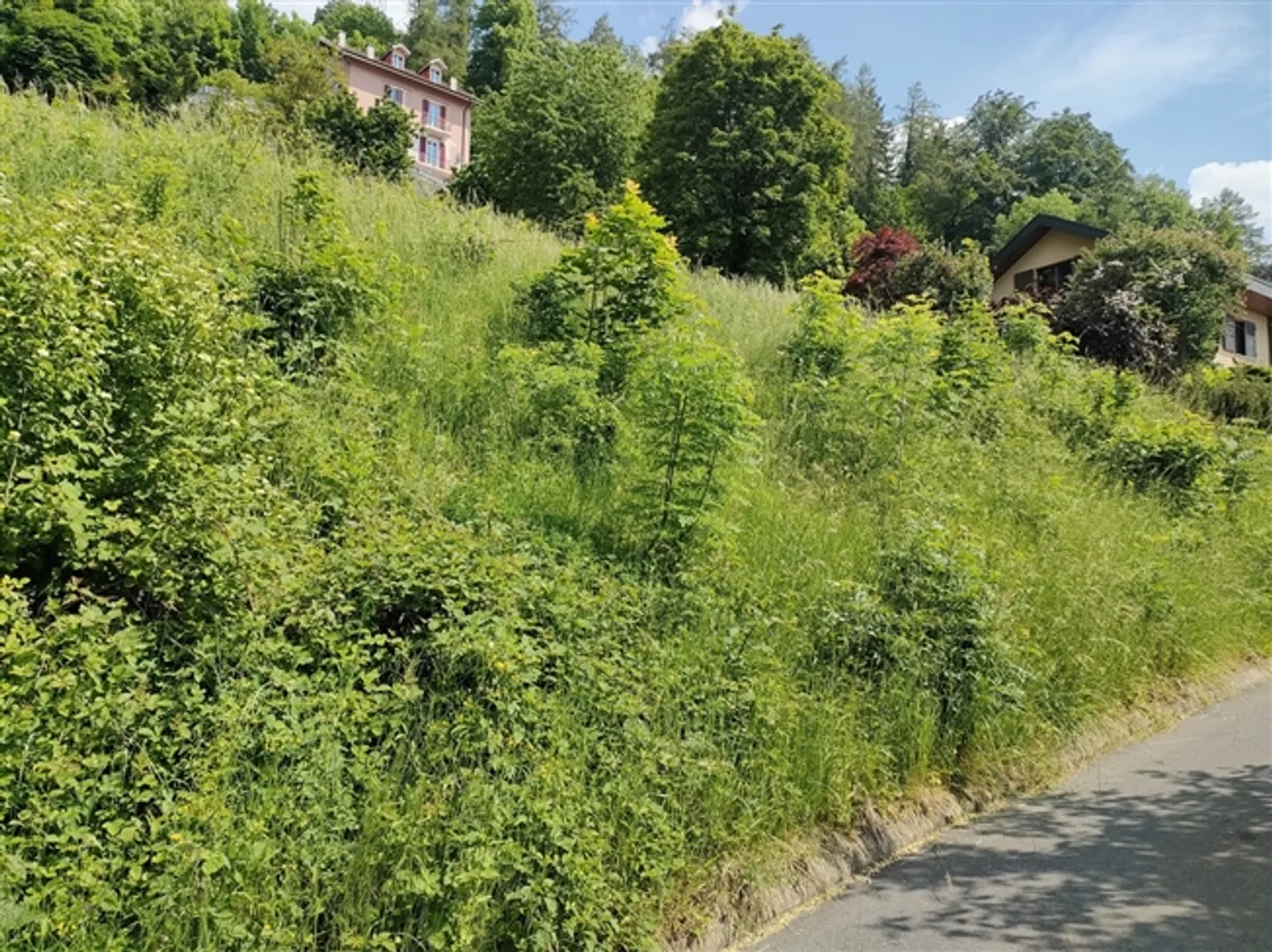 «Grundstück mit gültiger Genehmigung und Projekt für eine freistehende Villa» - Foto 6 von 6