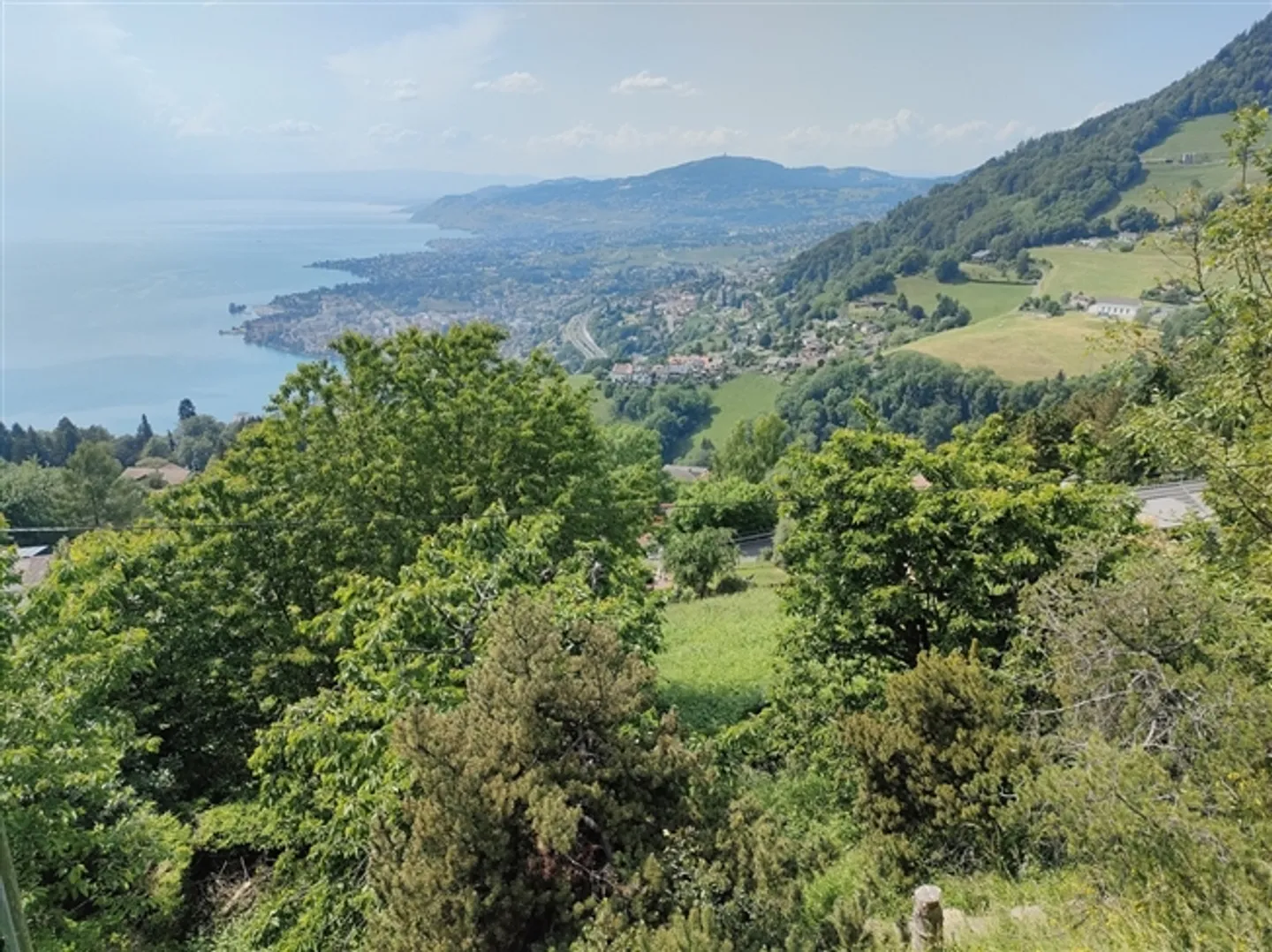 «Grundstück mit gültiger Genehmigung und Projekt für eine freistehende Villa» - Foto 5 von 6