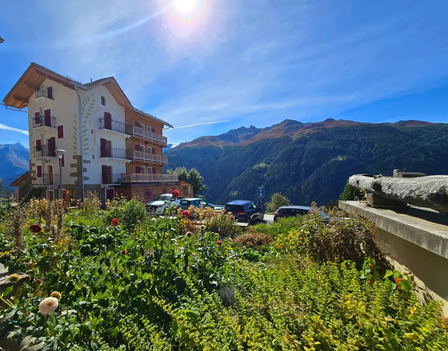 Appartamento affascinante a Eison (Val d'Hérens) con vista, grande giardino e garage - Foto 17 di 20