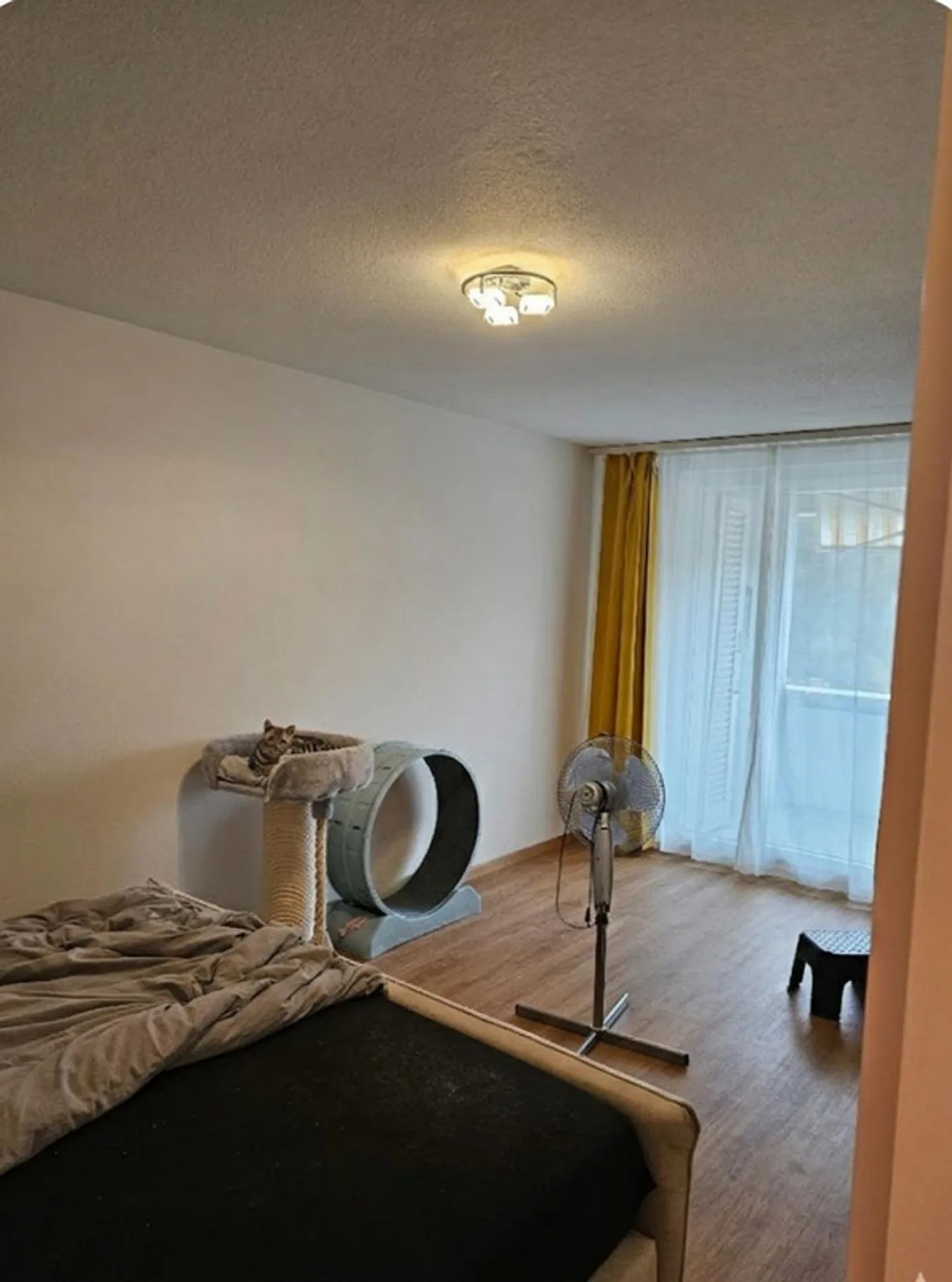 Appartamento luminoso con 3 stanze ad Aarau – Moderno e tranquillo - Foto 3 di 11