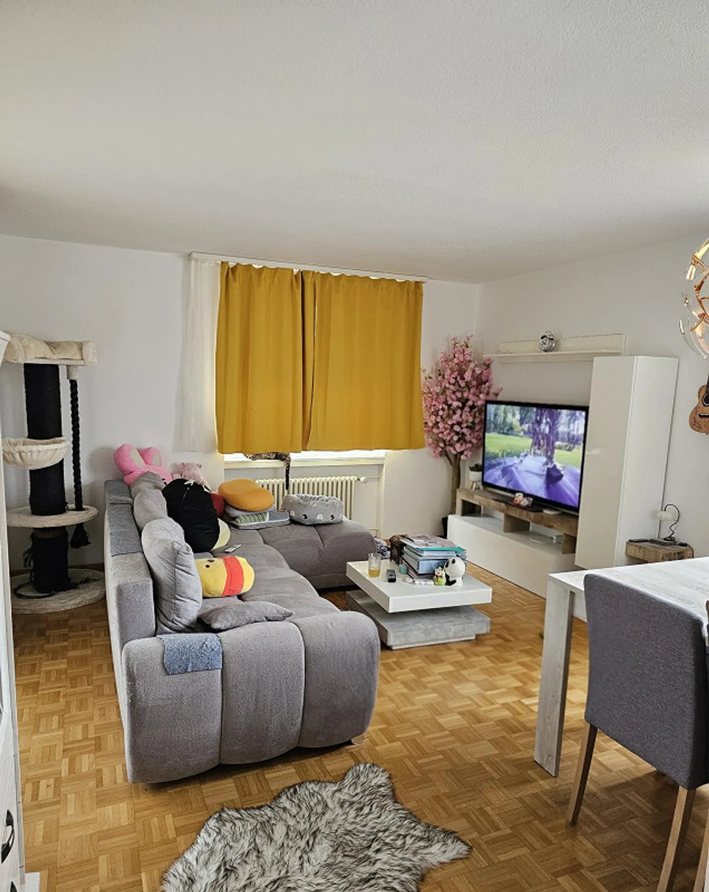 Appartamento luminoso con 3 stanze ad Aarau – Moderno e tranquillo - Foto 8 di 11