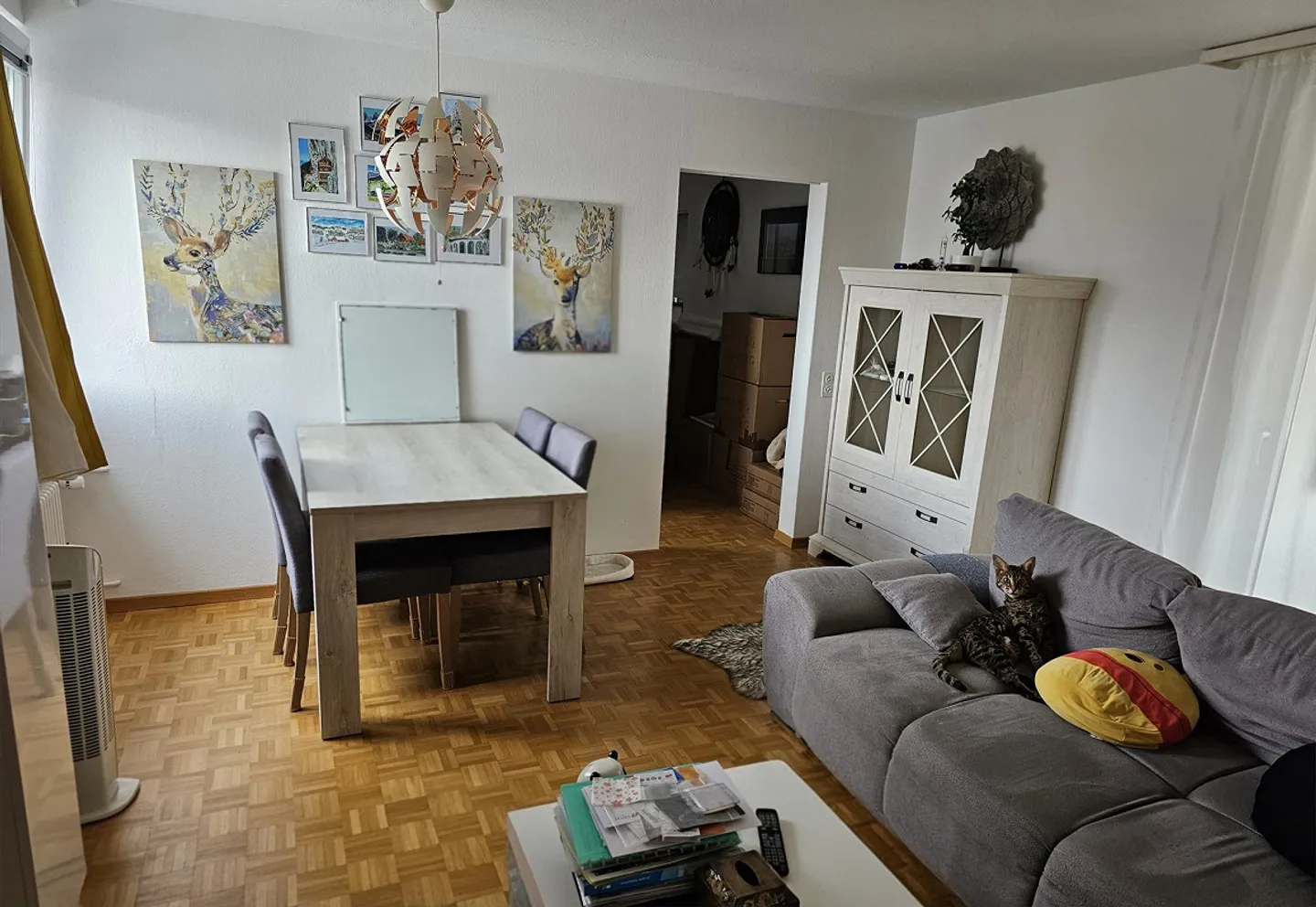 Appartamento luminoso con 3 stanze ad Aarau – Moderno e tranquillo - Foto 9 di 11